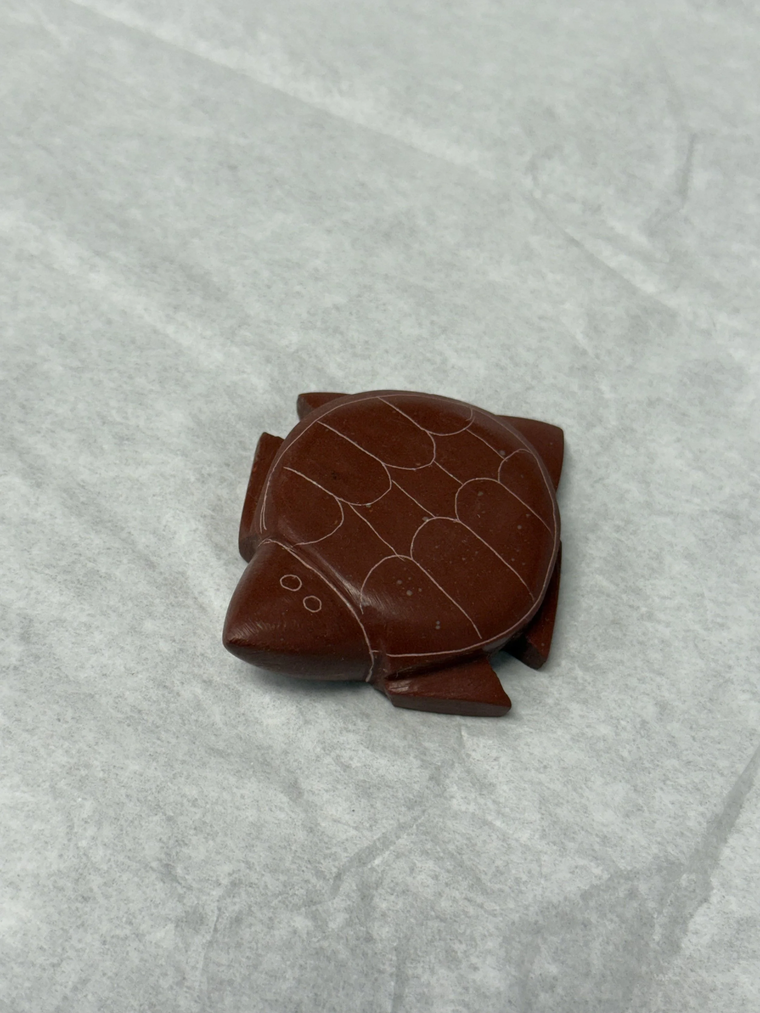 TRB large turtle.jpeg