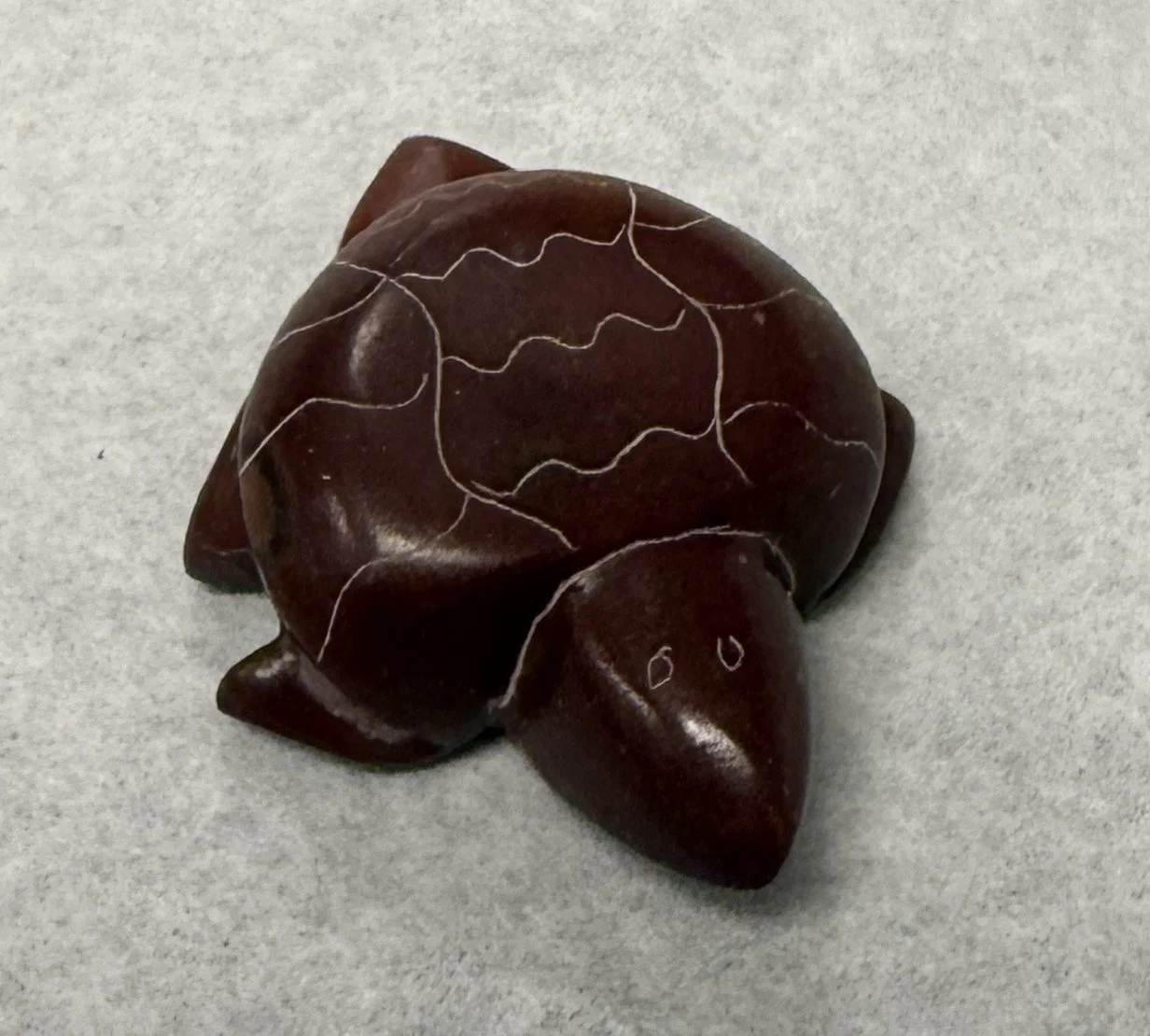 turtle plain JP.jpeg