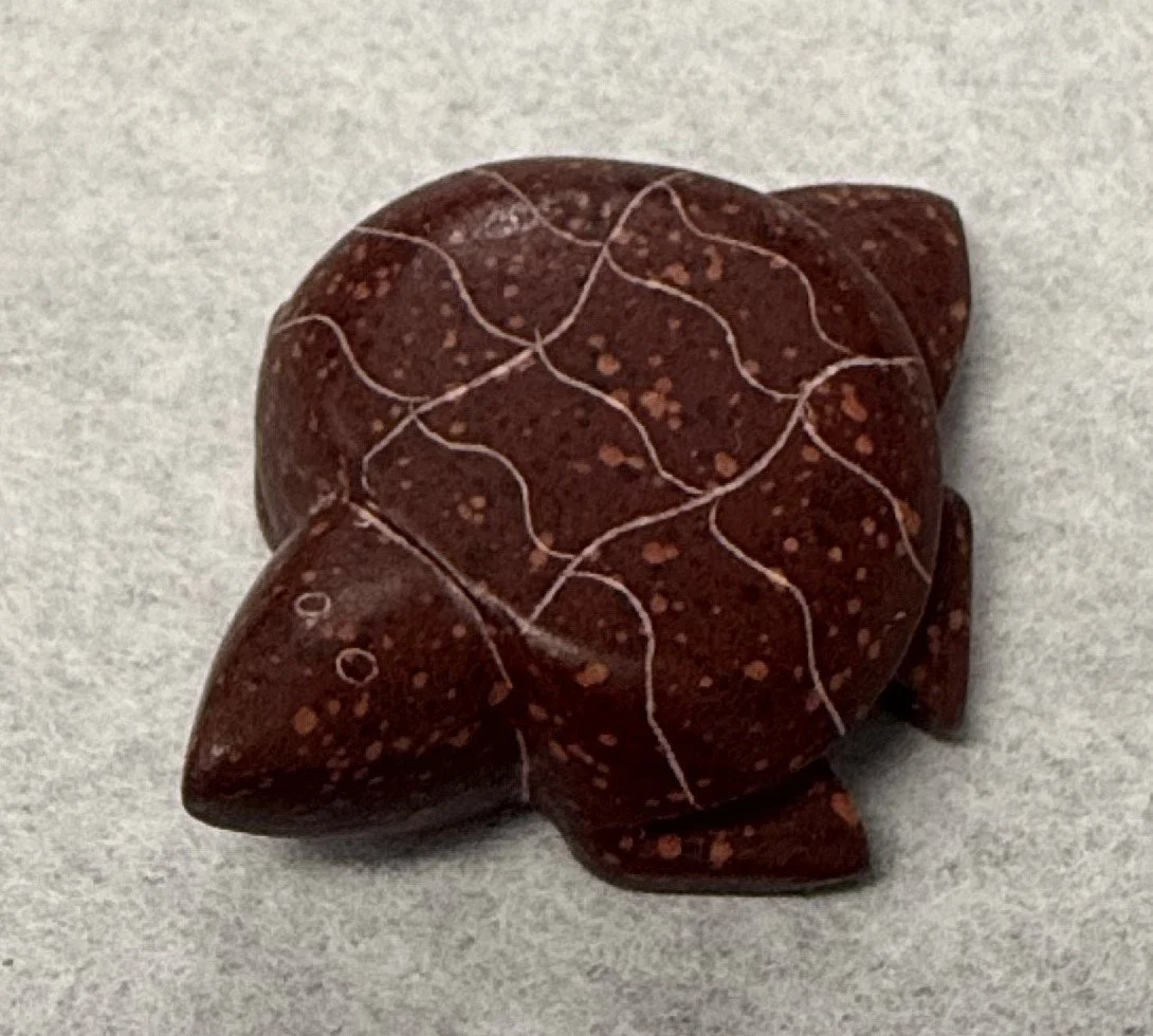 spotted JP turtle 1.jpeg