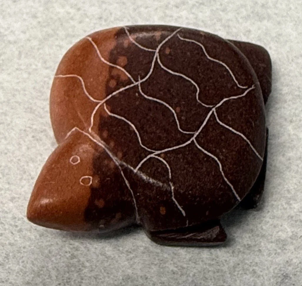 2 tone turtle JP.jpeg