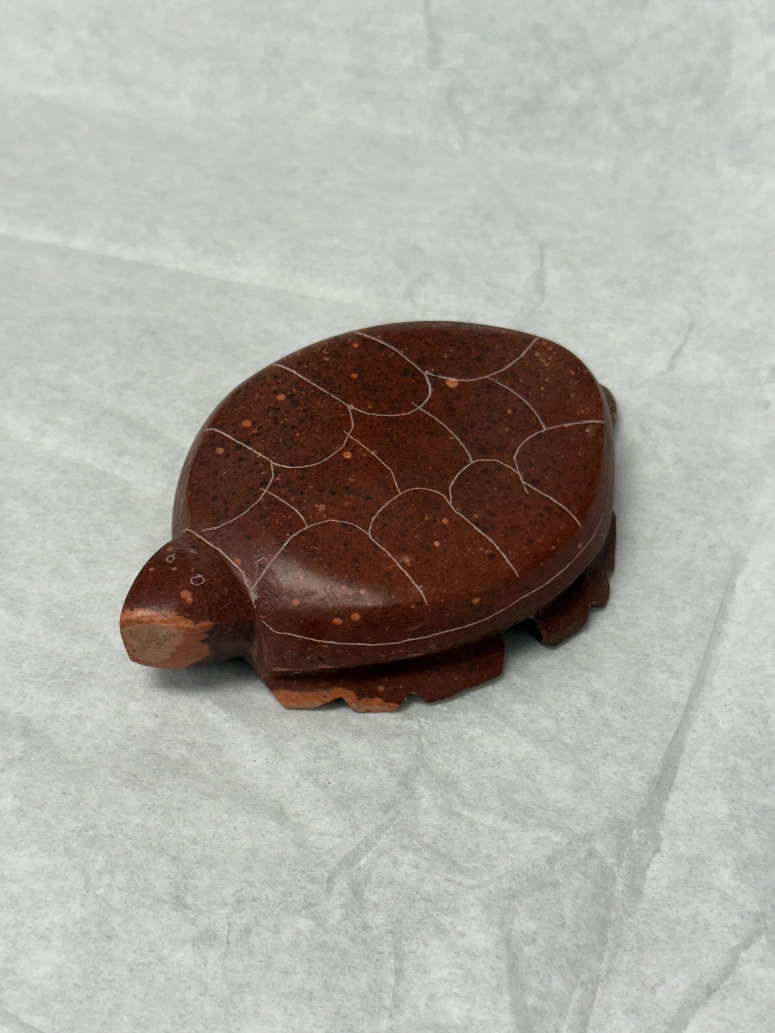 JM large turtle.jpeg