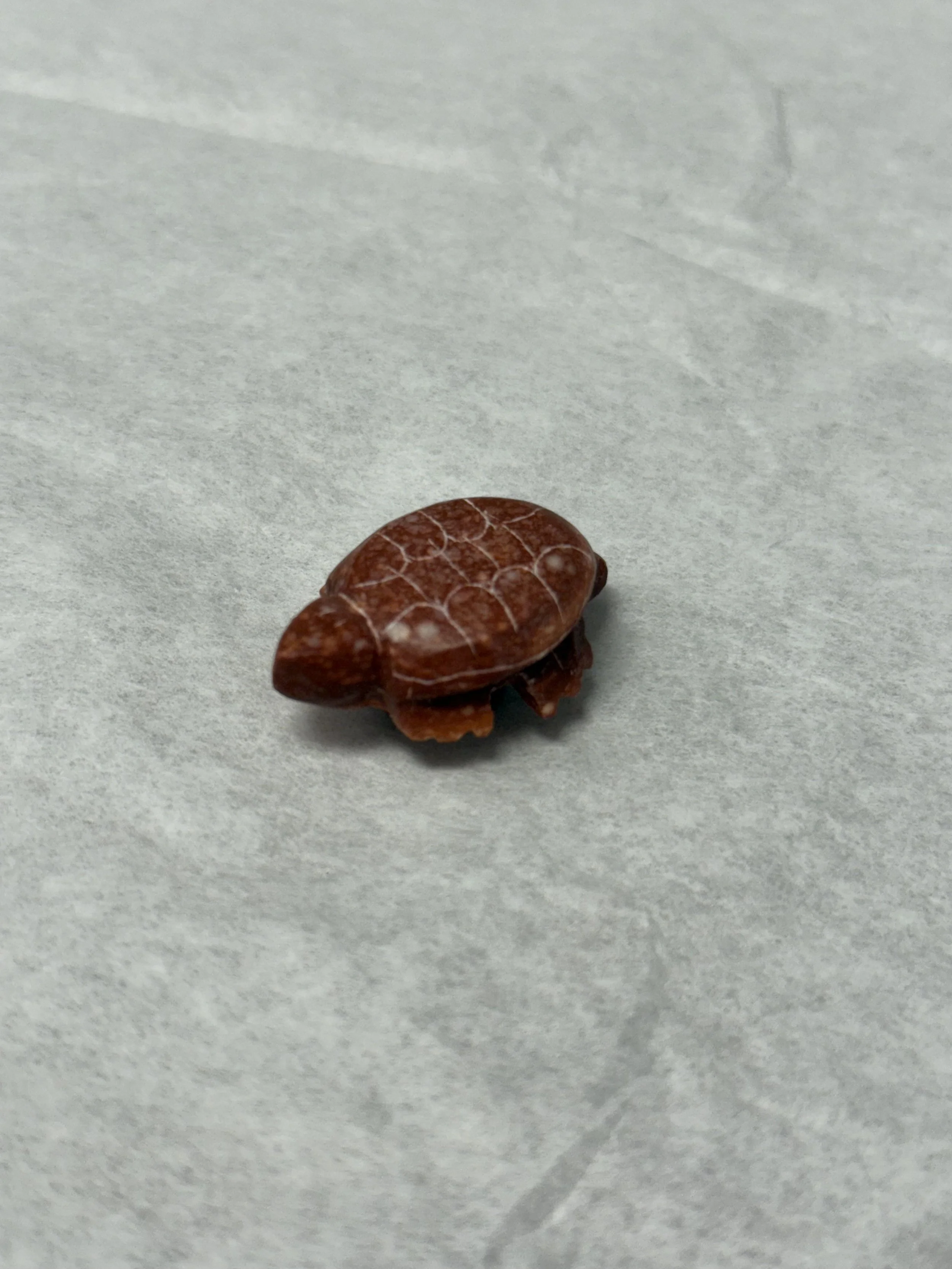 jm magnet darker 2.jpeg