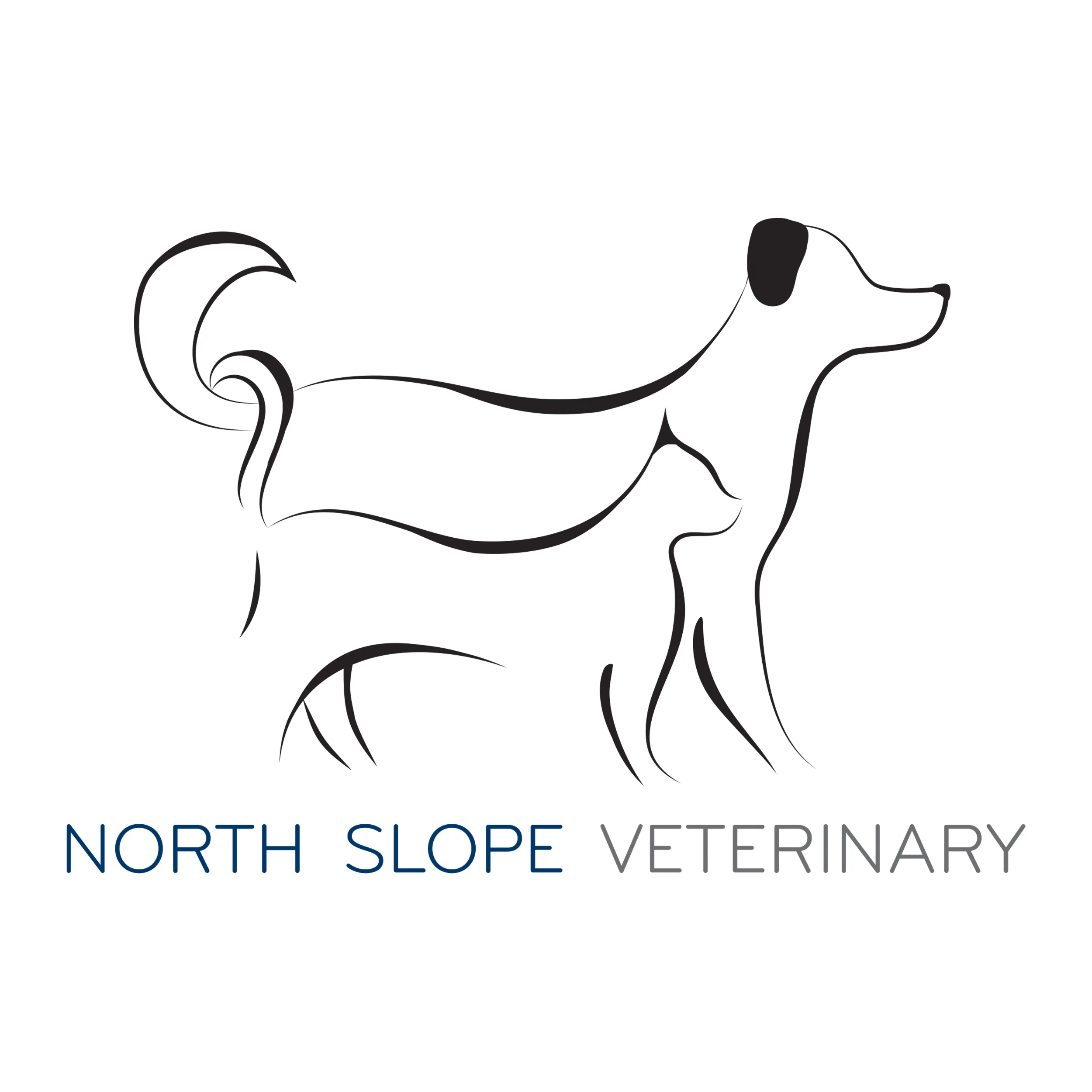 nsv_logo_2500x2500px.jpg
