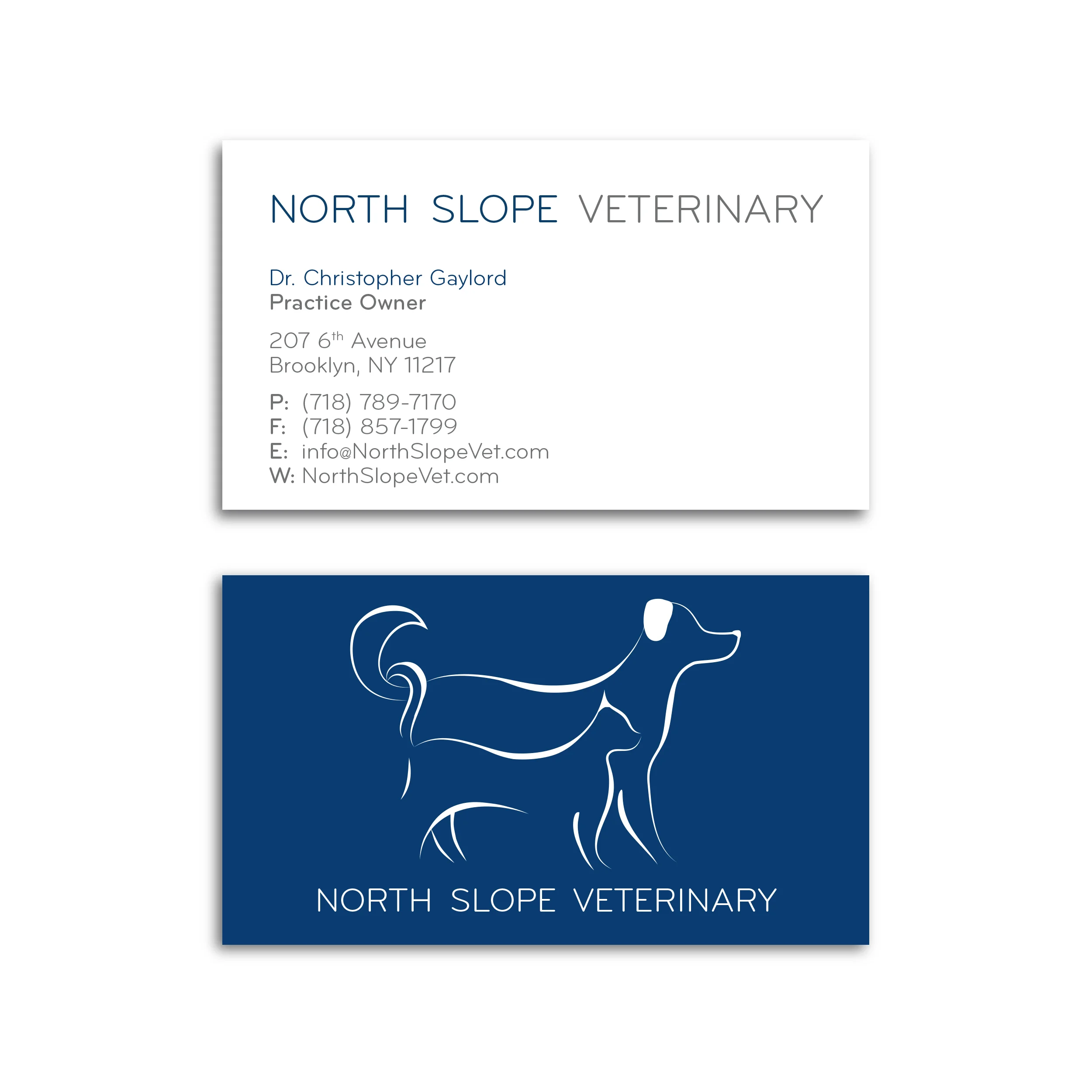 nsv_cards_2500x2500px_v2.jpg