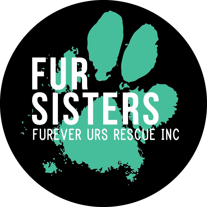 Fur Sisters.png