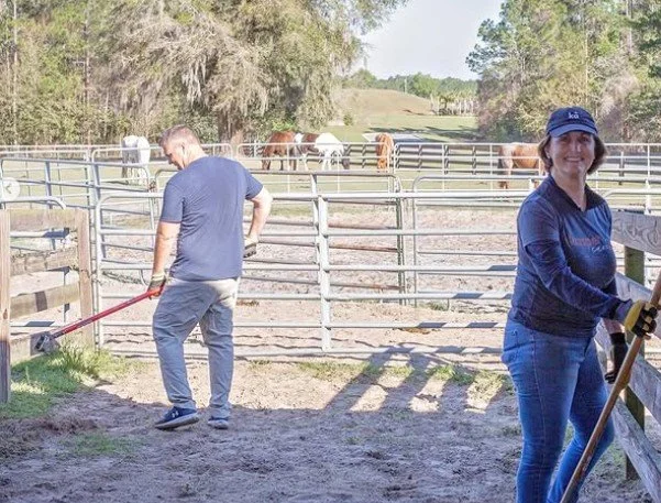 working in the stablesworking in the stables