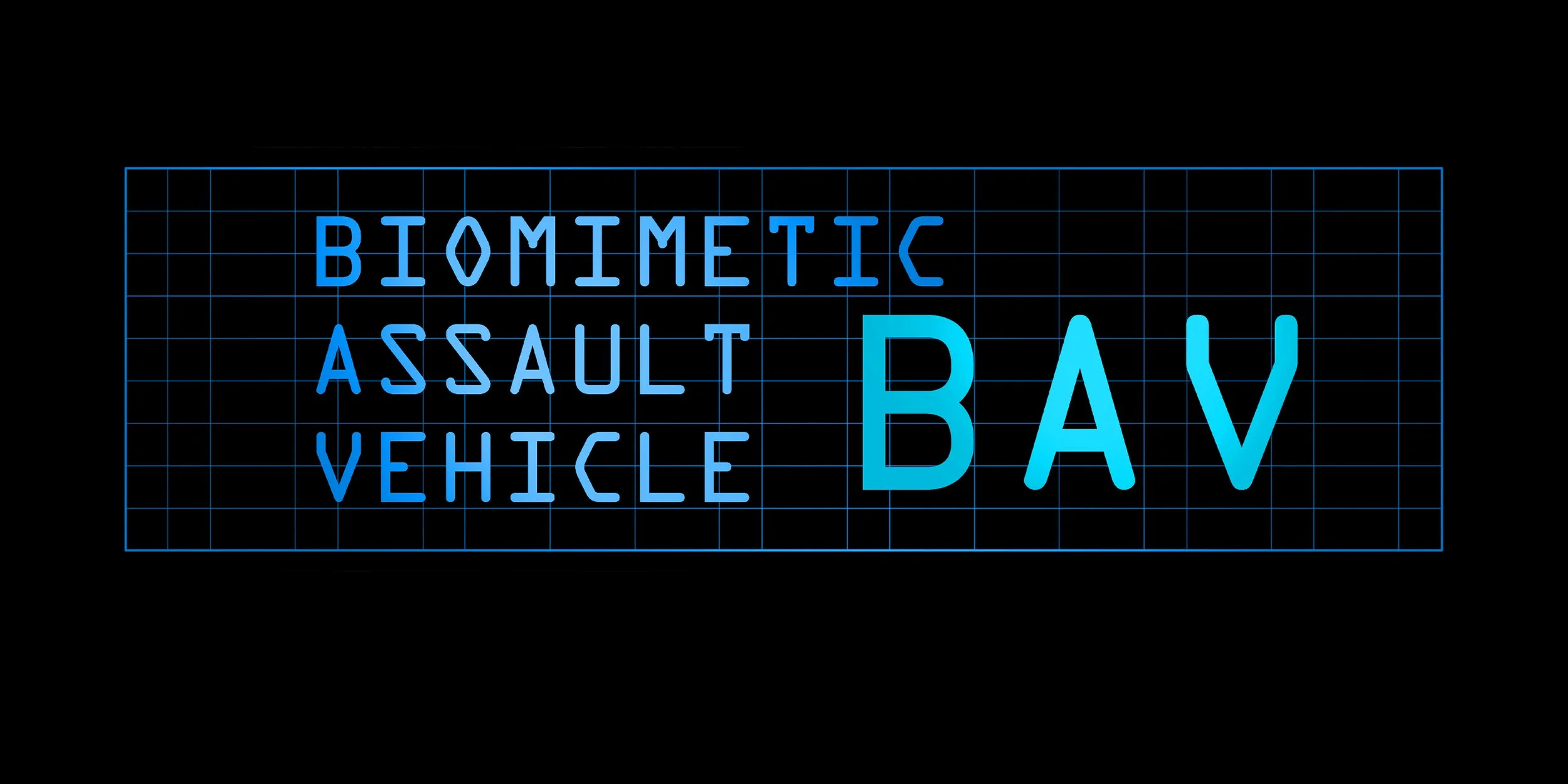 BAV - squarespace.jpg