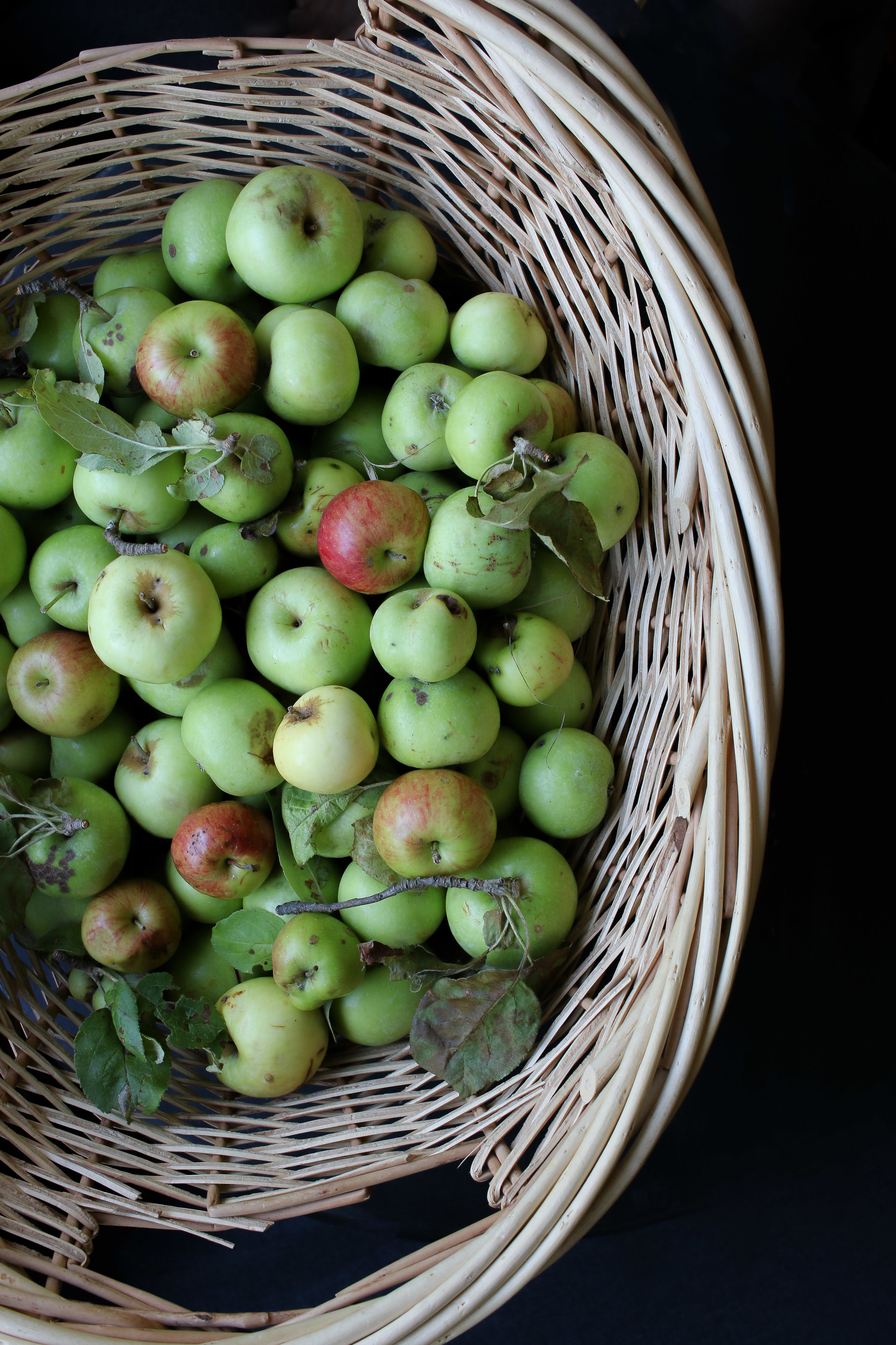 Wild apples 2017.jpg