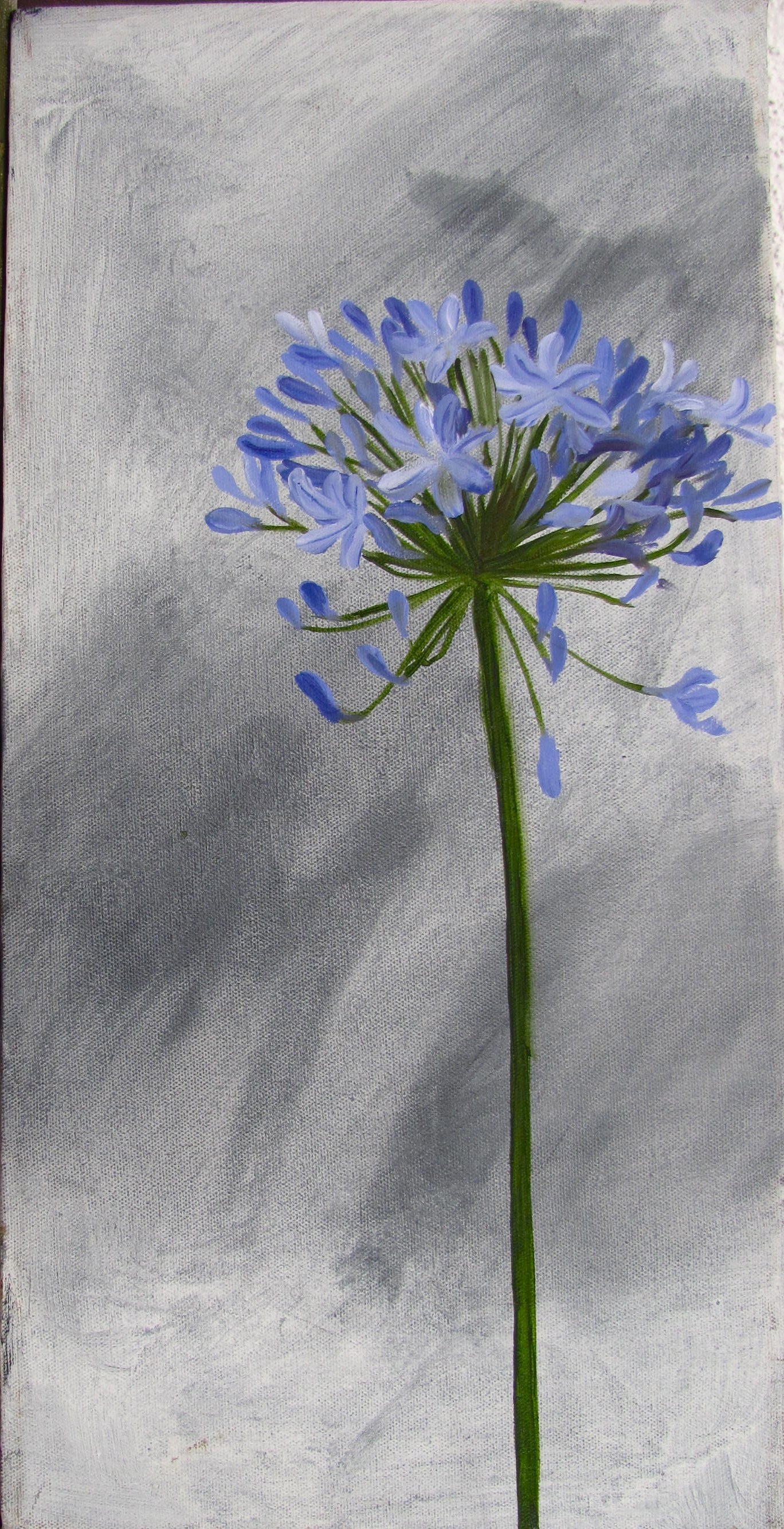 photos for websites 482 - Version 2.JPG