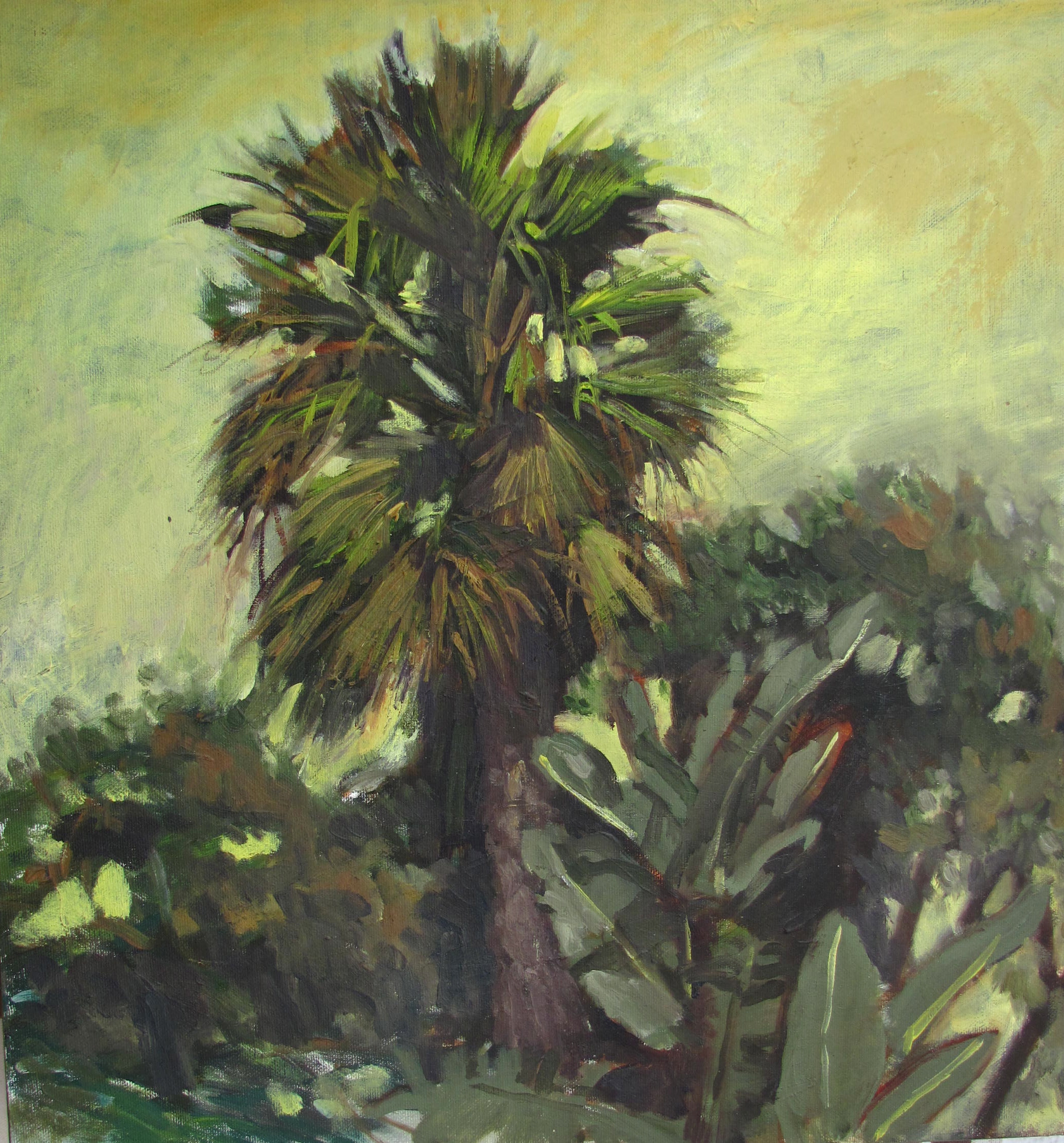  20" x 20"  oil/canvas 