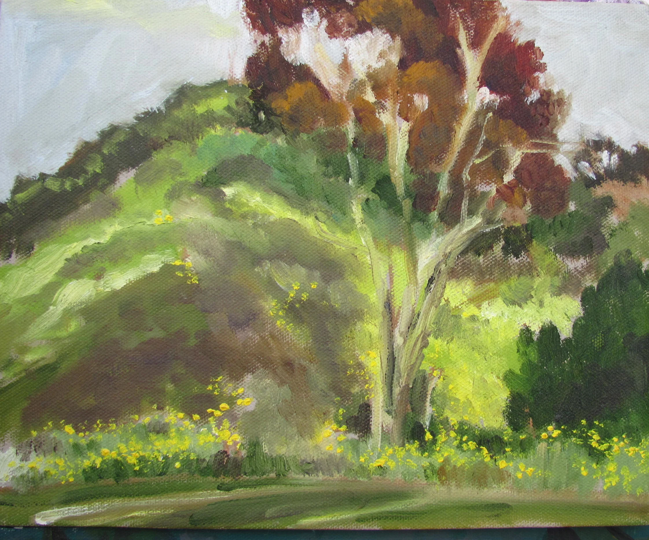  Mother's Day Picnic at Kenneth Hahn  8 X 10 . OIL /CANVAS 