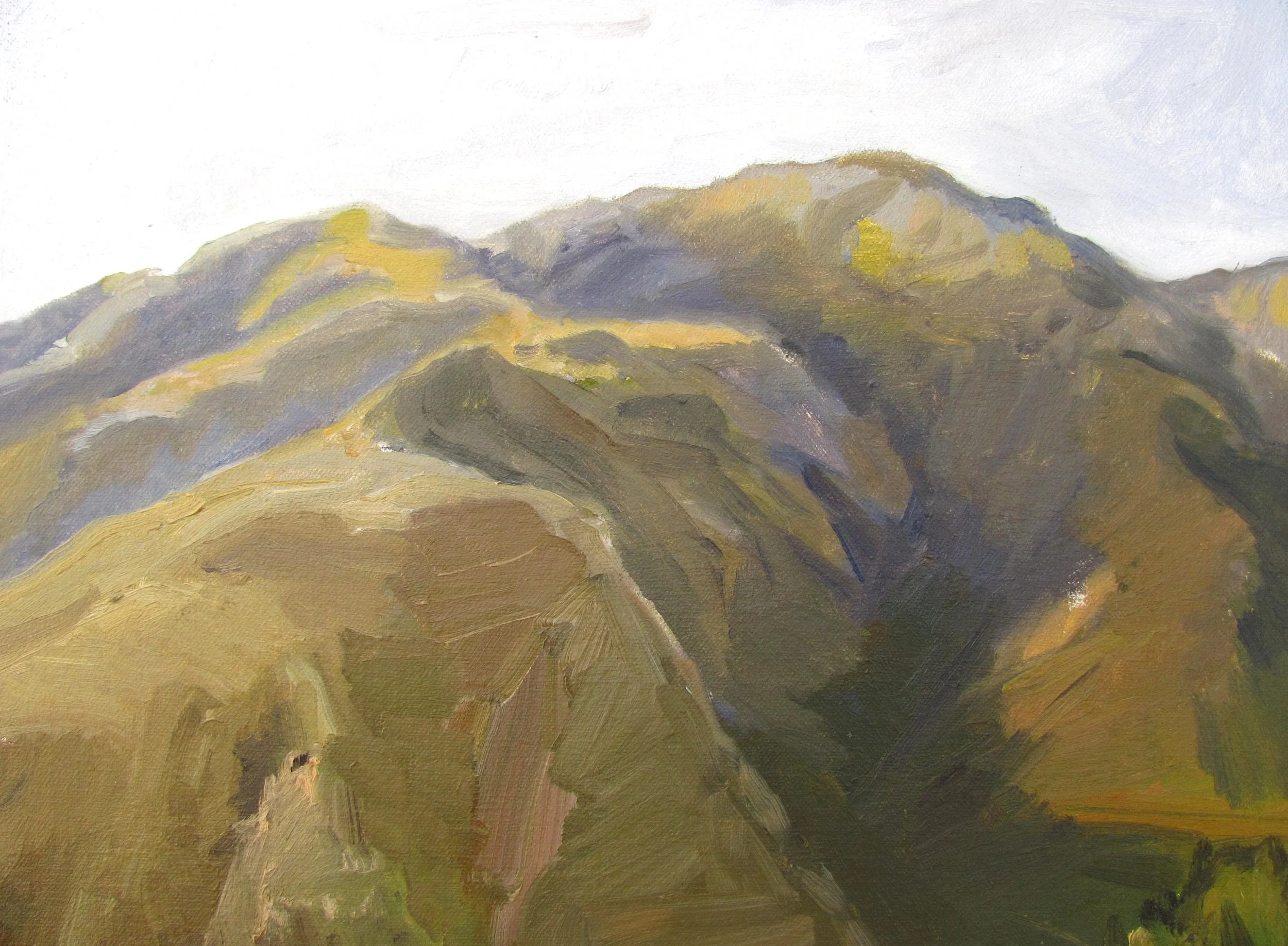  16 X 20 &nbsp; &nbsp;OIL / CANVAS 