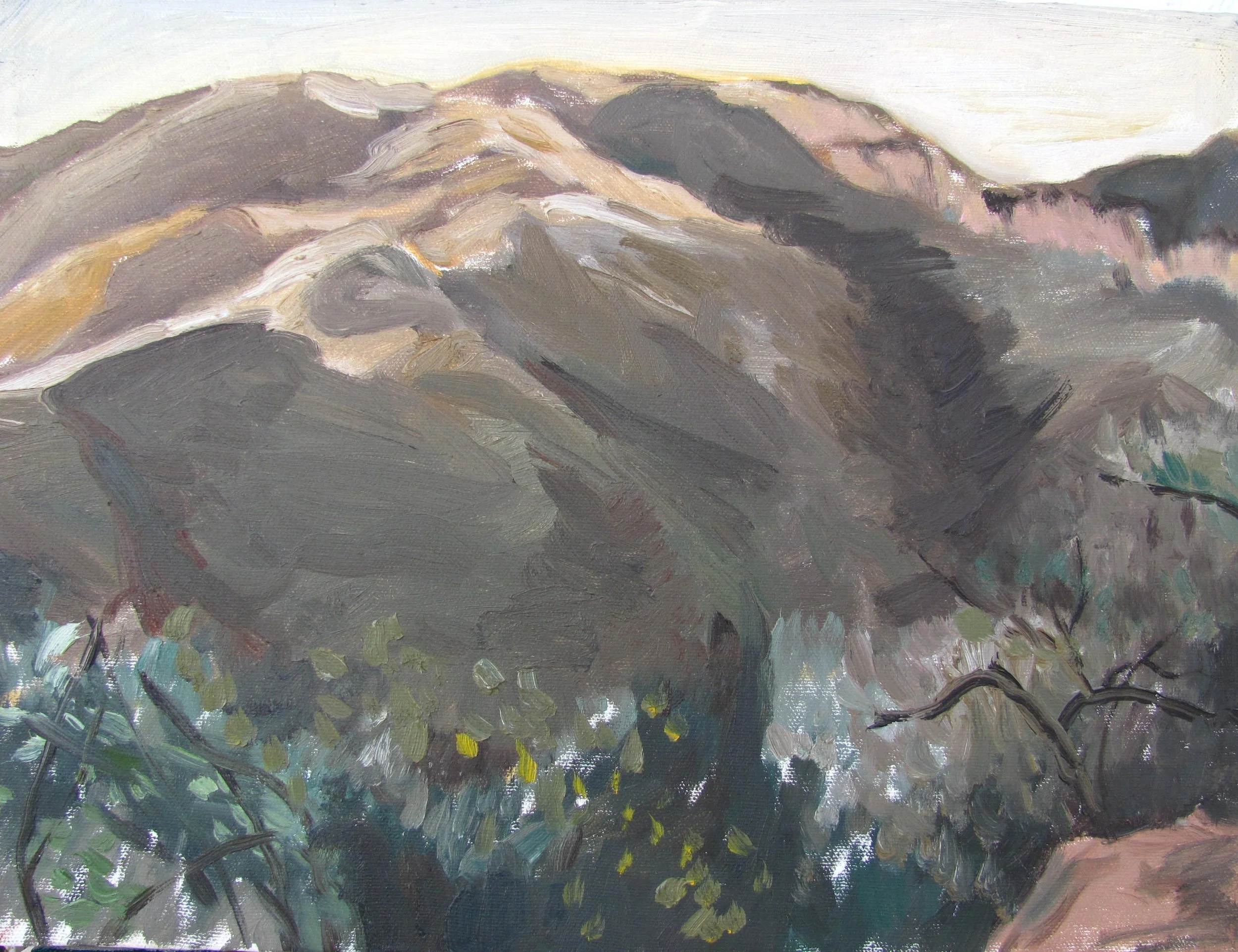 photos for websites 556.JPG