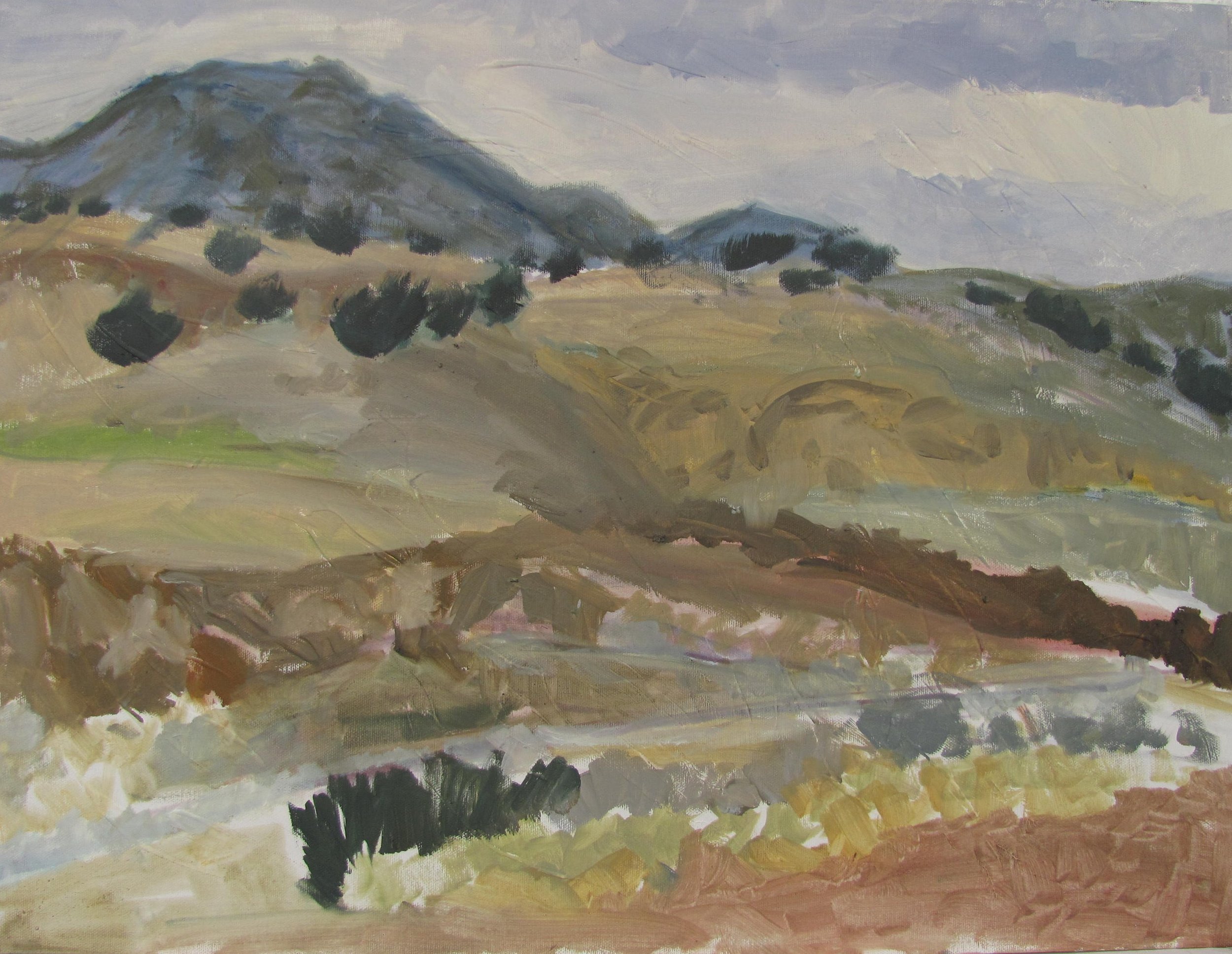  NEW MEXICO  16 X 20 &nbsp;OIL / CANVAS 