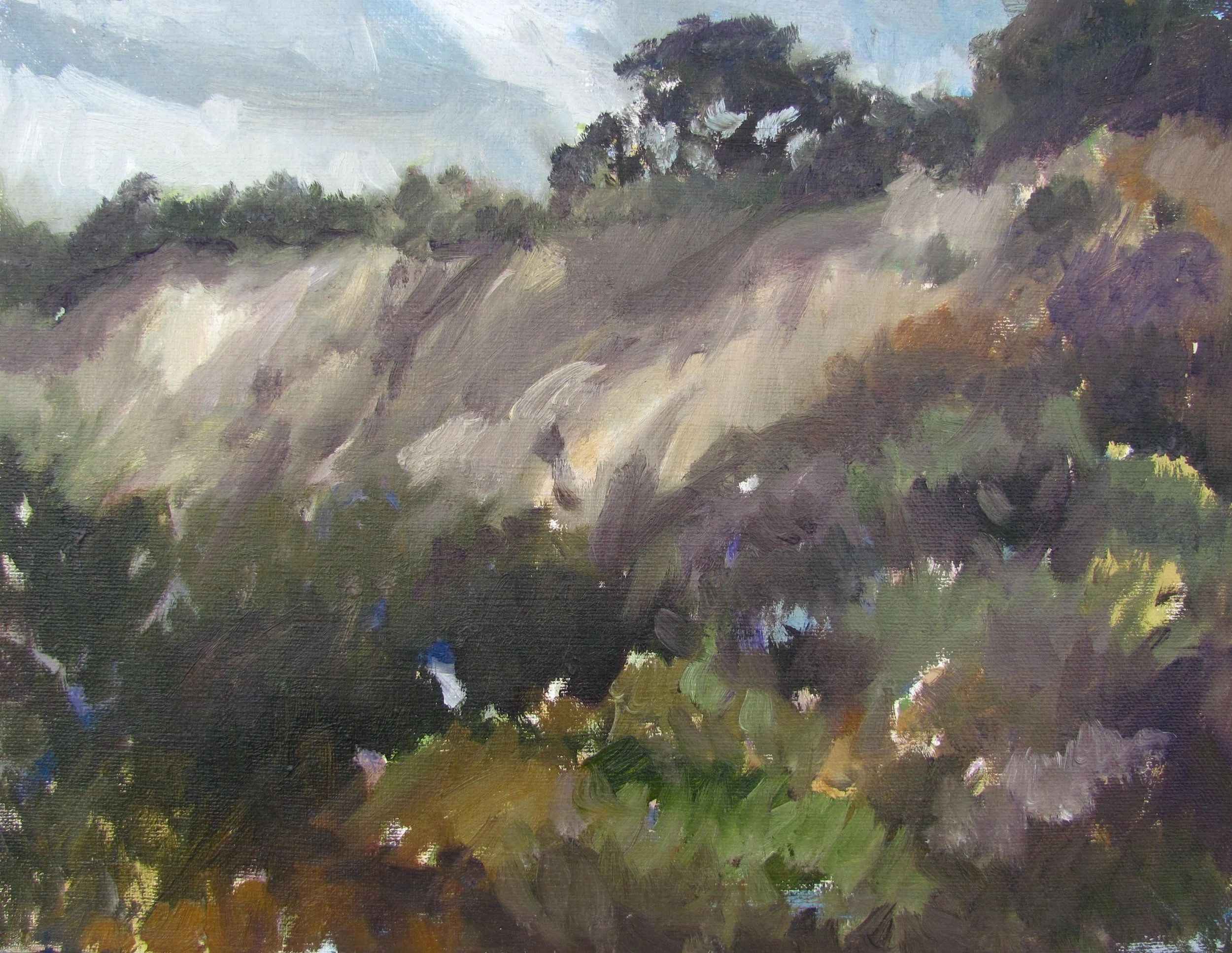  MALIBU BLUFF  8 X 10 &nbsp;&nbsp;OIL / CANVAS 