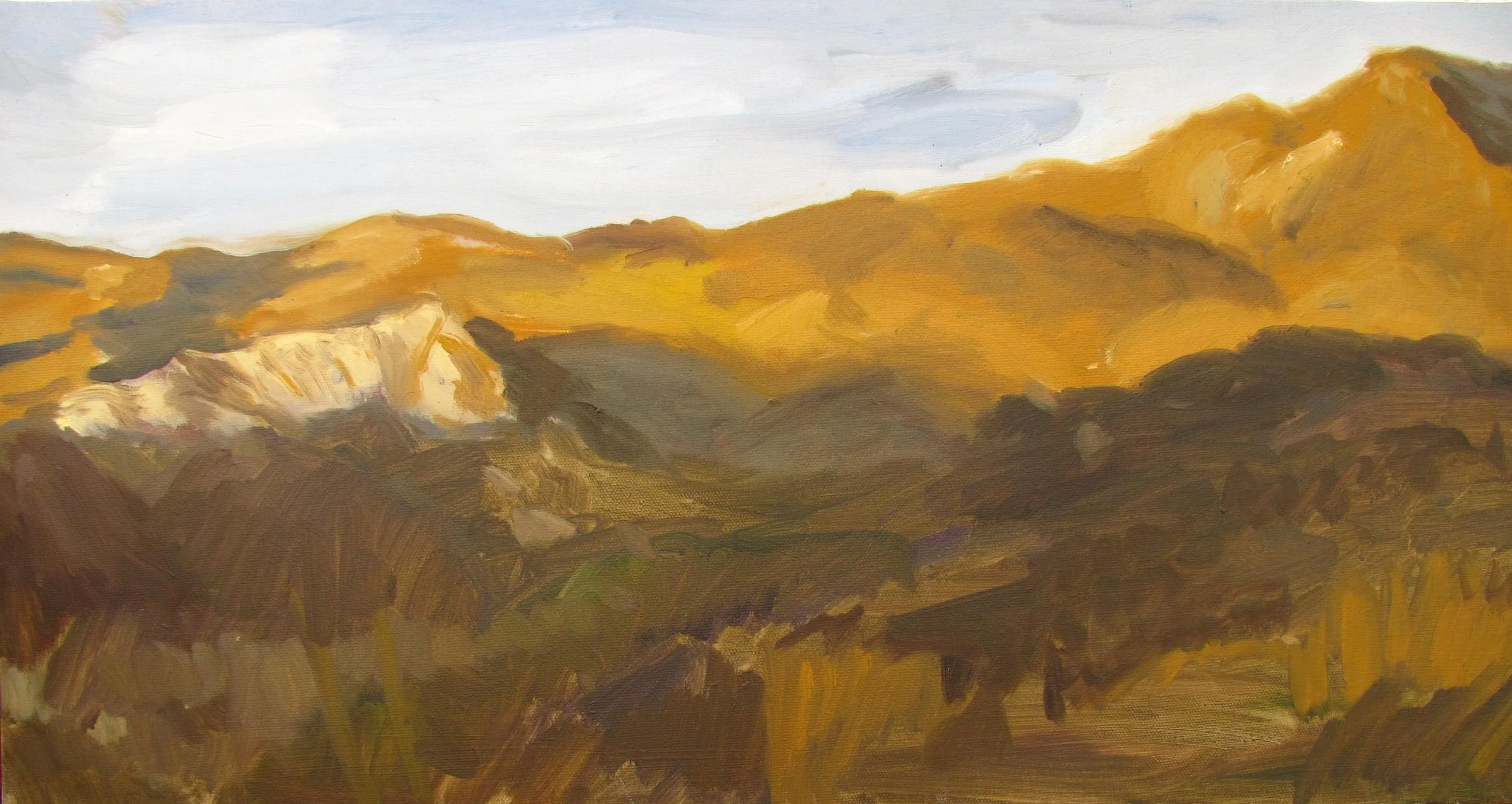  15 X 30 &nbsp; &nbsp; OIL / CANVAS 