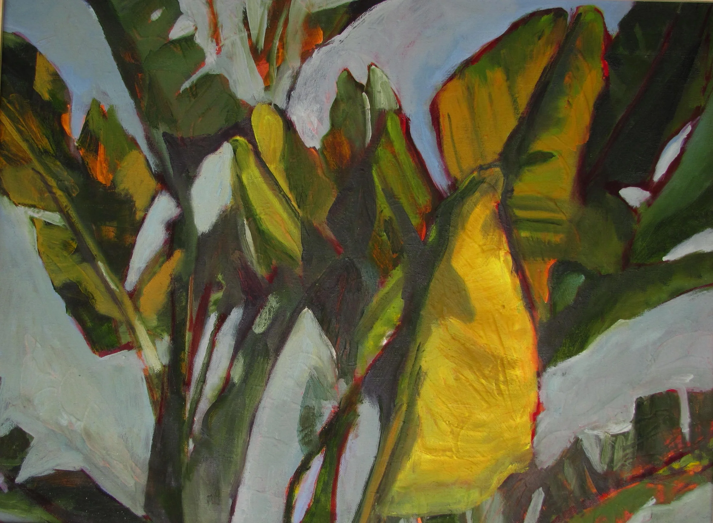 photos for websites 567.JPG