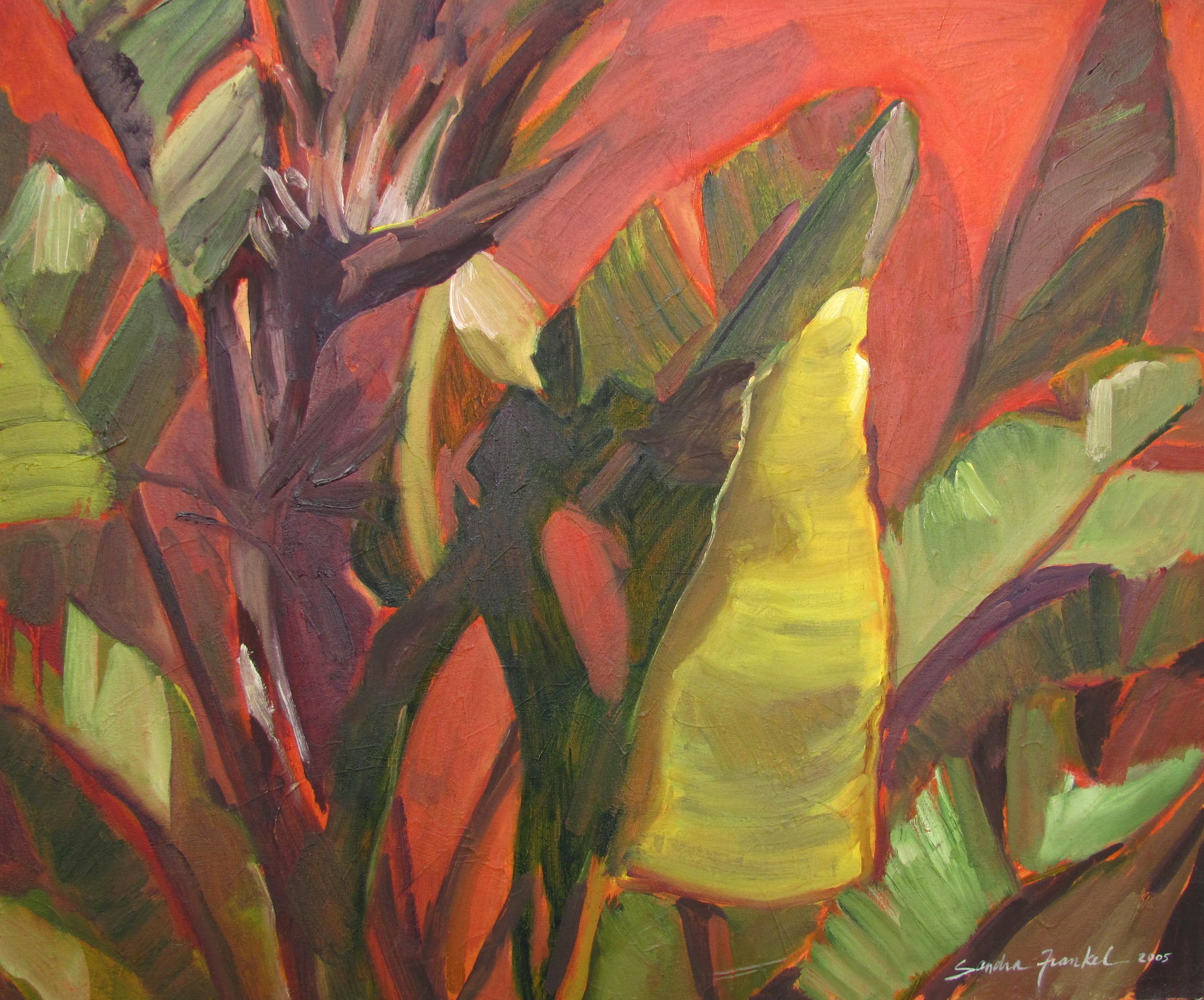 photos for websites 565.JPG