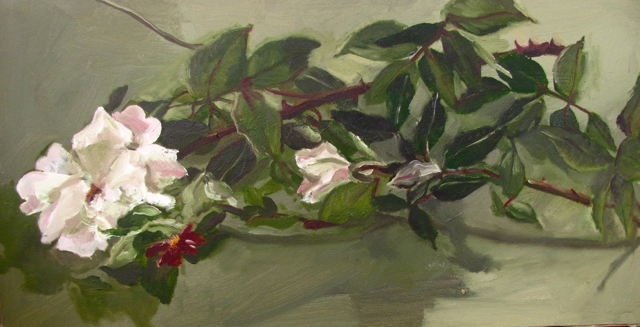 photos for websites 495.JPG