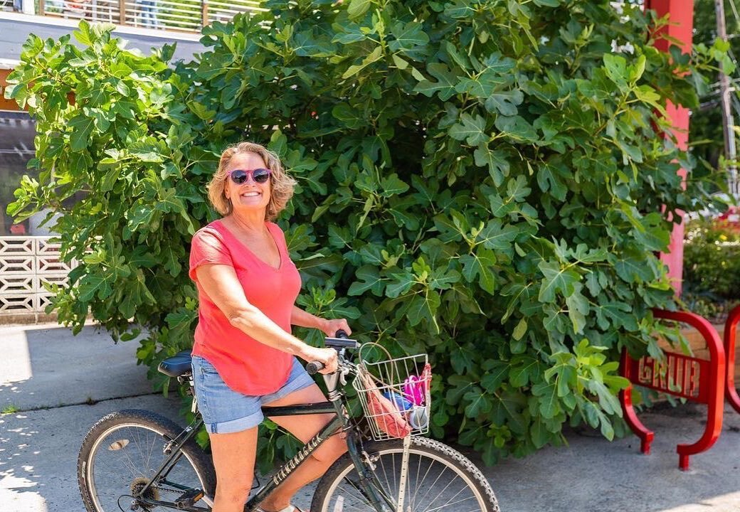 Bike on over for brunch this Sunday morning 🚴&zwj;♂️, but try to get here before our fig tree takes over our lot 😂😳🌳
We can&rsquo;t wait to see you!!!
.
Thanks to 👉🏼 @leadershiptriangle
for this great photo and all you do in and around our comm