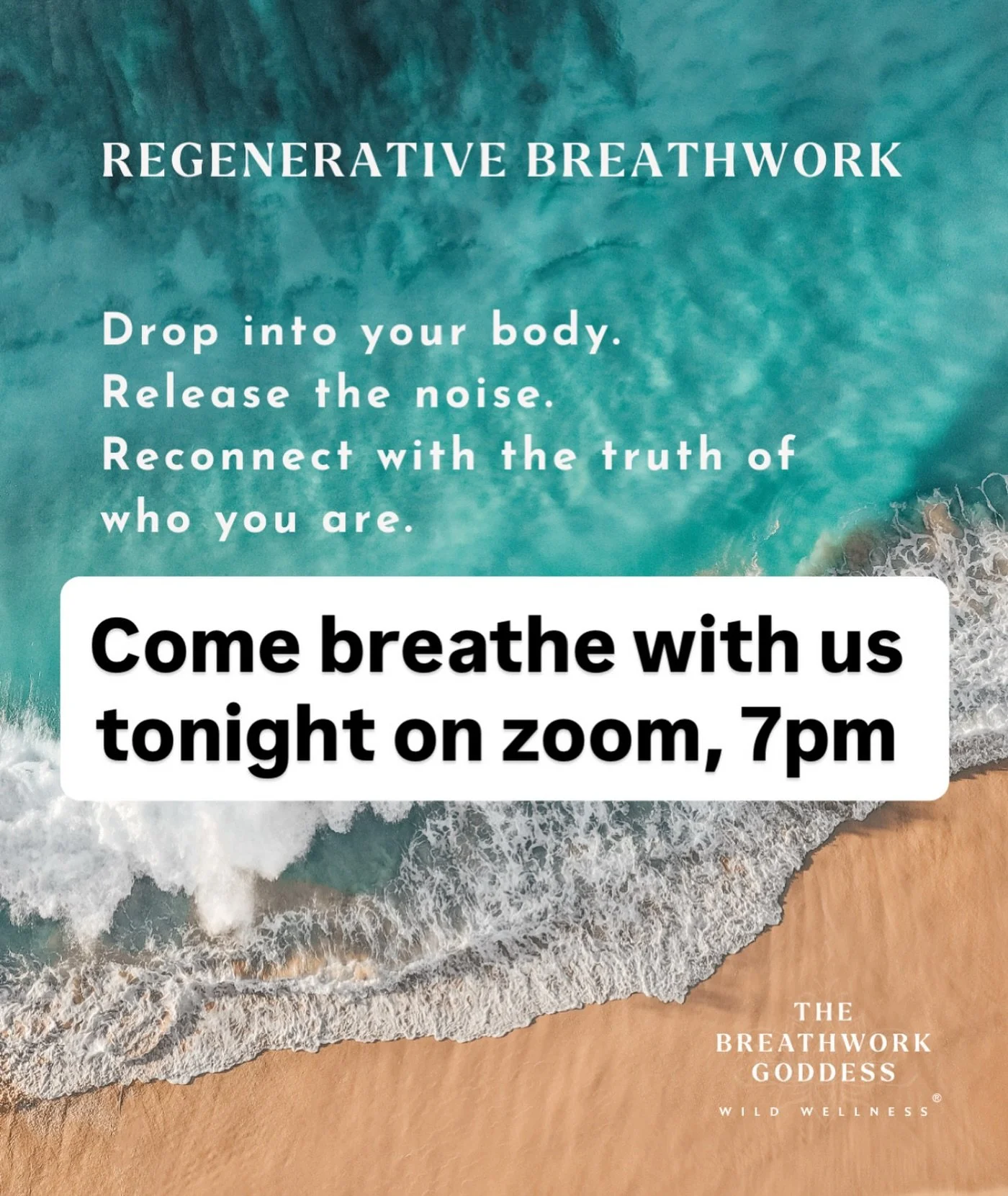 Gift yourself a break from the constant mind chatter&hellip;

Come join us tonight from the comfort of your own sanctuary. 

You don&rsquo;t even need your camera on. 

Just come breathe 😮&zwj;💨

Check out the link in my story. 

#regenerativebreat