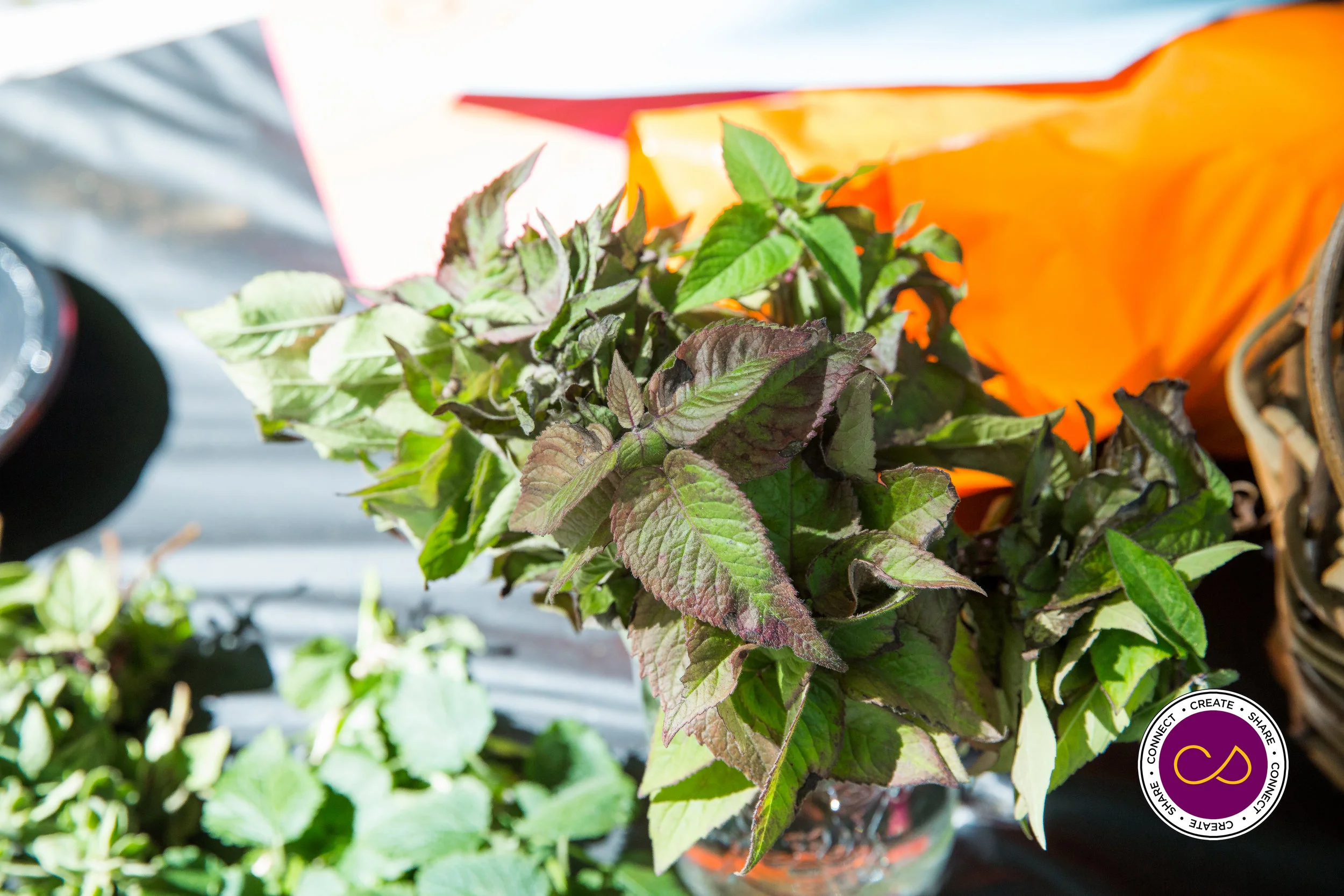 Salem Spice Festival 2015 by Social Palates_John Andrews for Creative Salem_0217.jpg