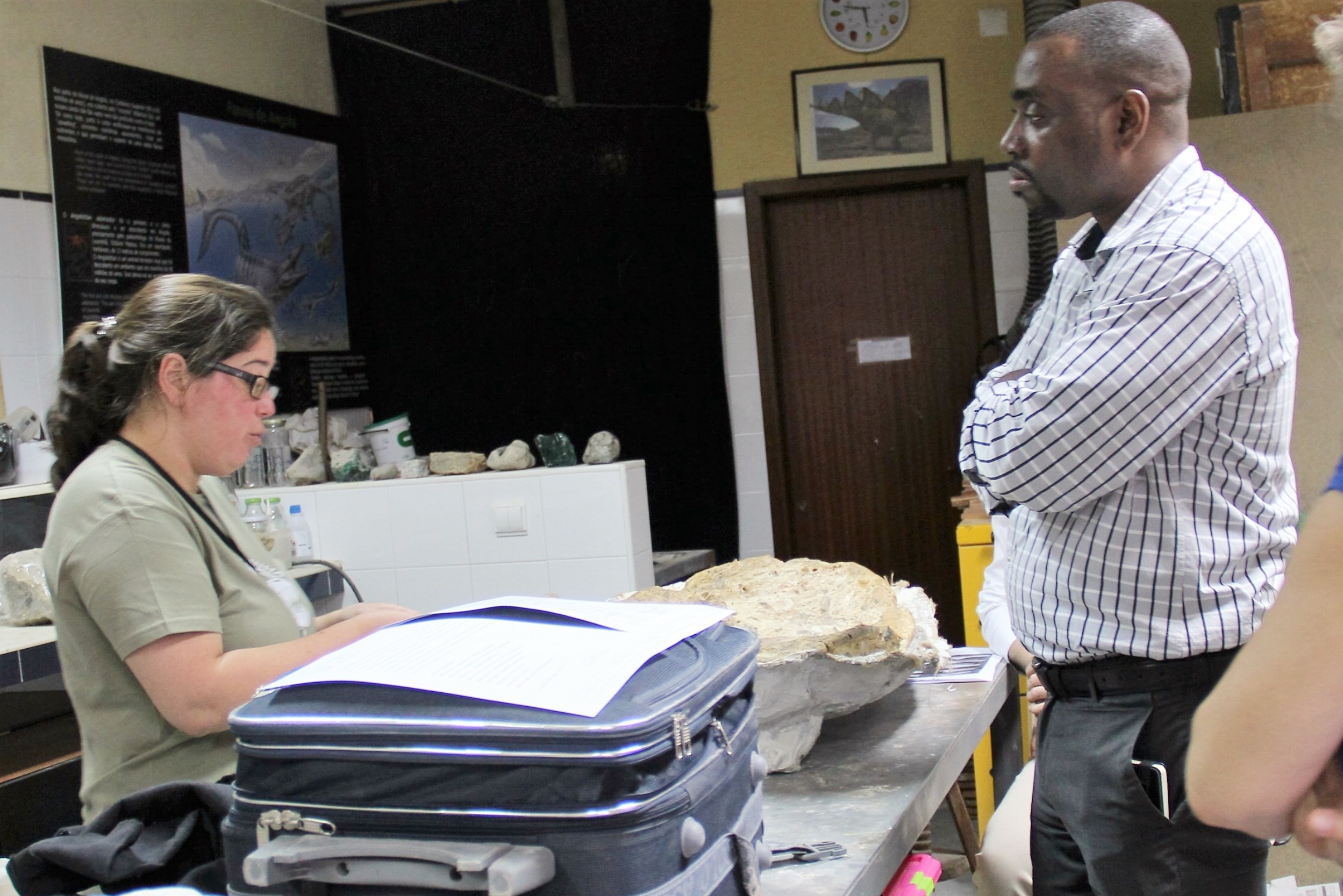 Preparing the fossils at Lourinhã Museum for returning to Mozambique.