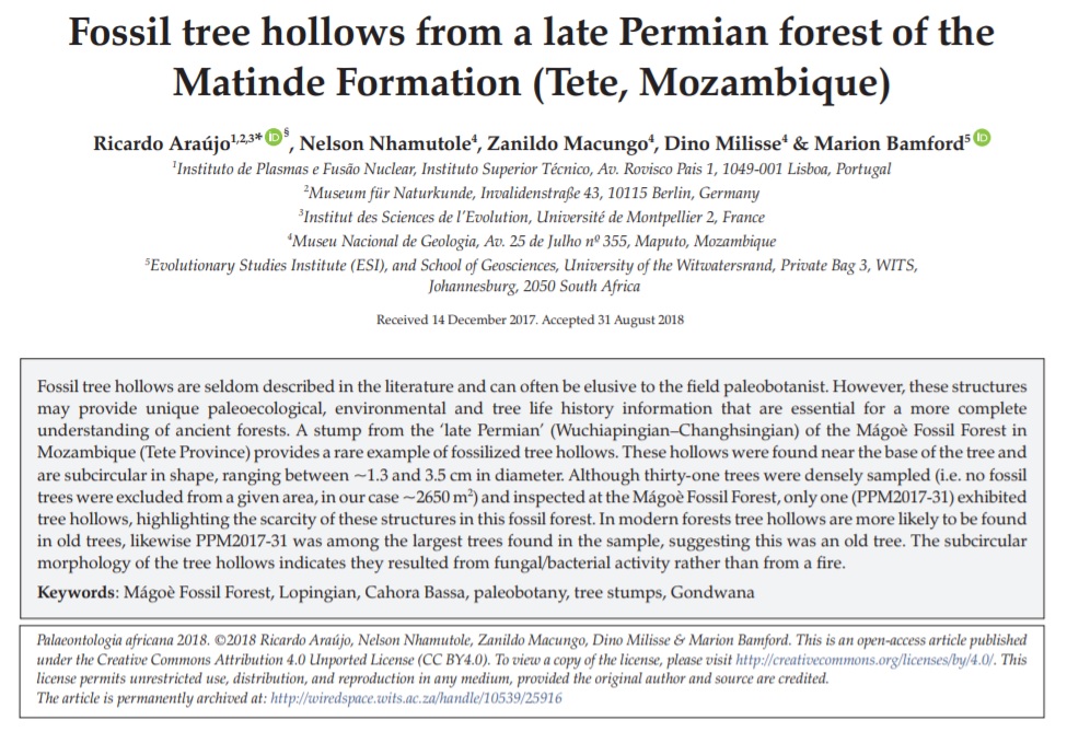 A screen shot of the paper published in Palaeontologia Africana.