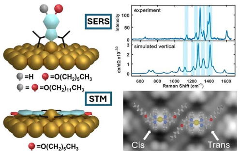 Screenshot 2026-01-26 120319.png