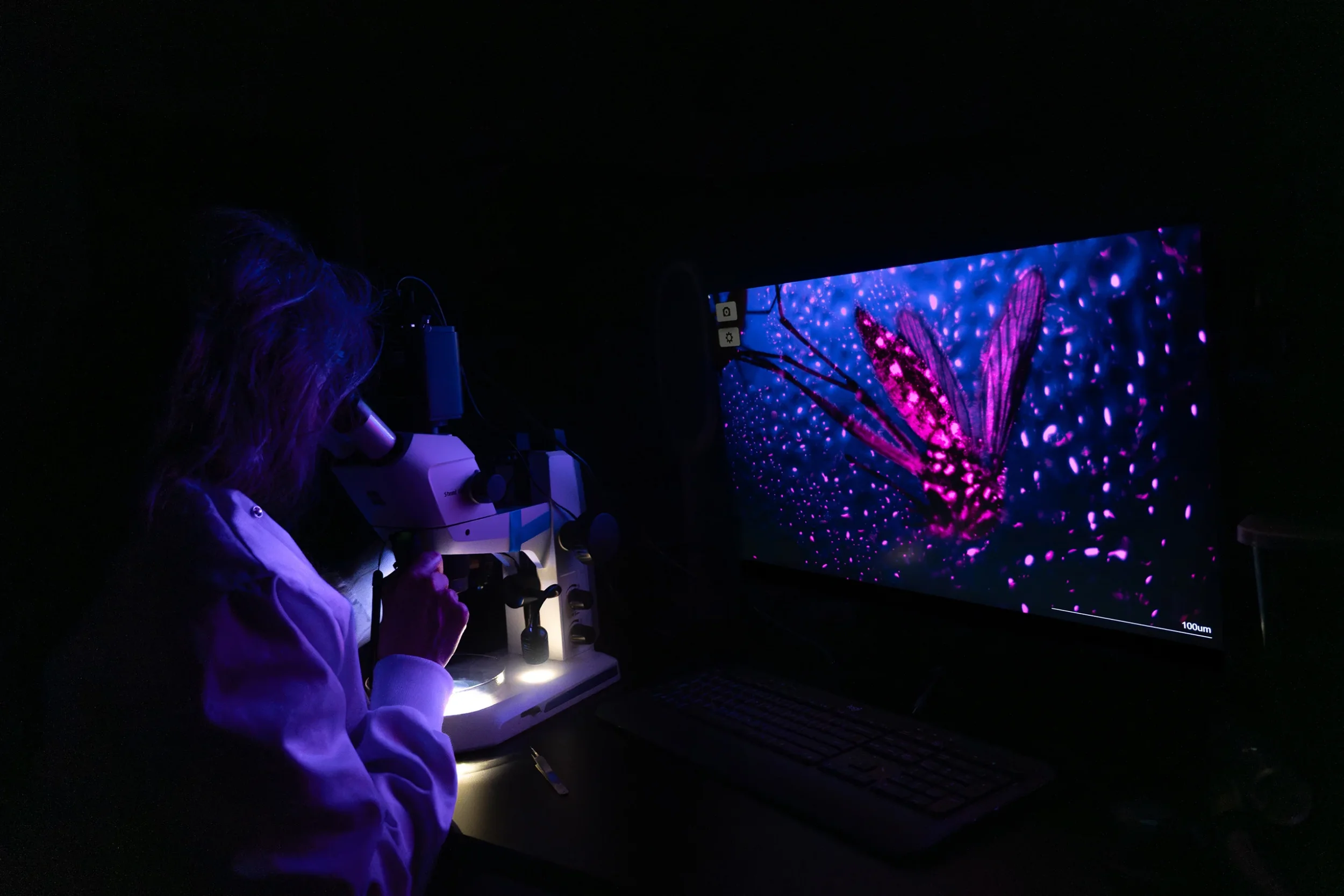 2026-06-11_careers-feature_scientist-at-work_web5_sh-2503x1669.webp