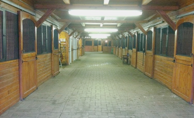 barn2.jpg