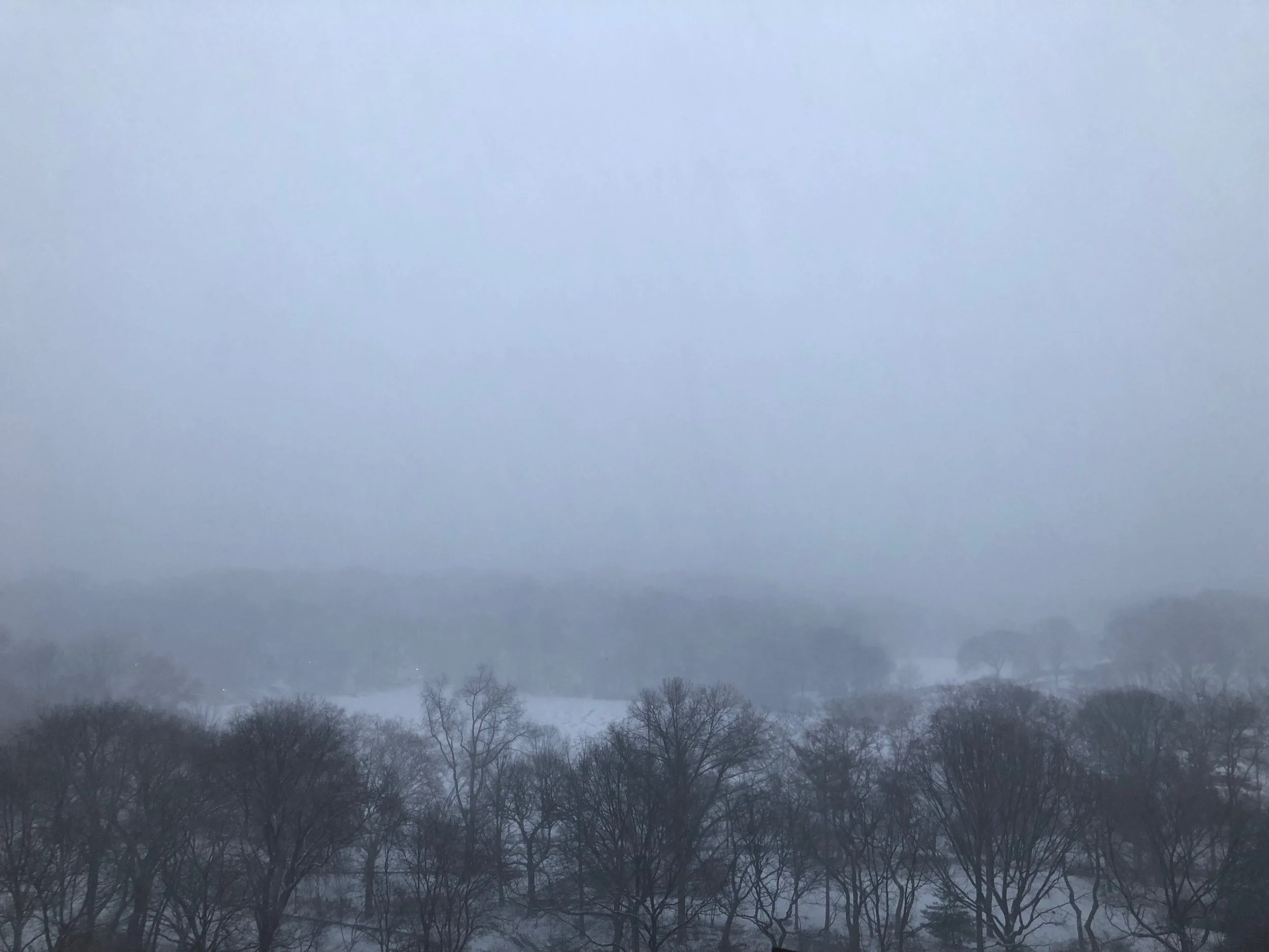 January 4, 7:39 am