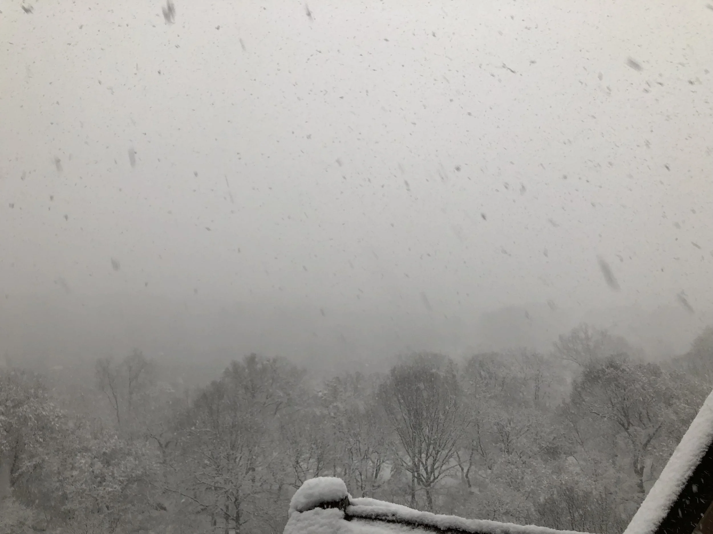 April 2, 7:25 am