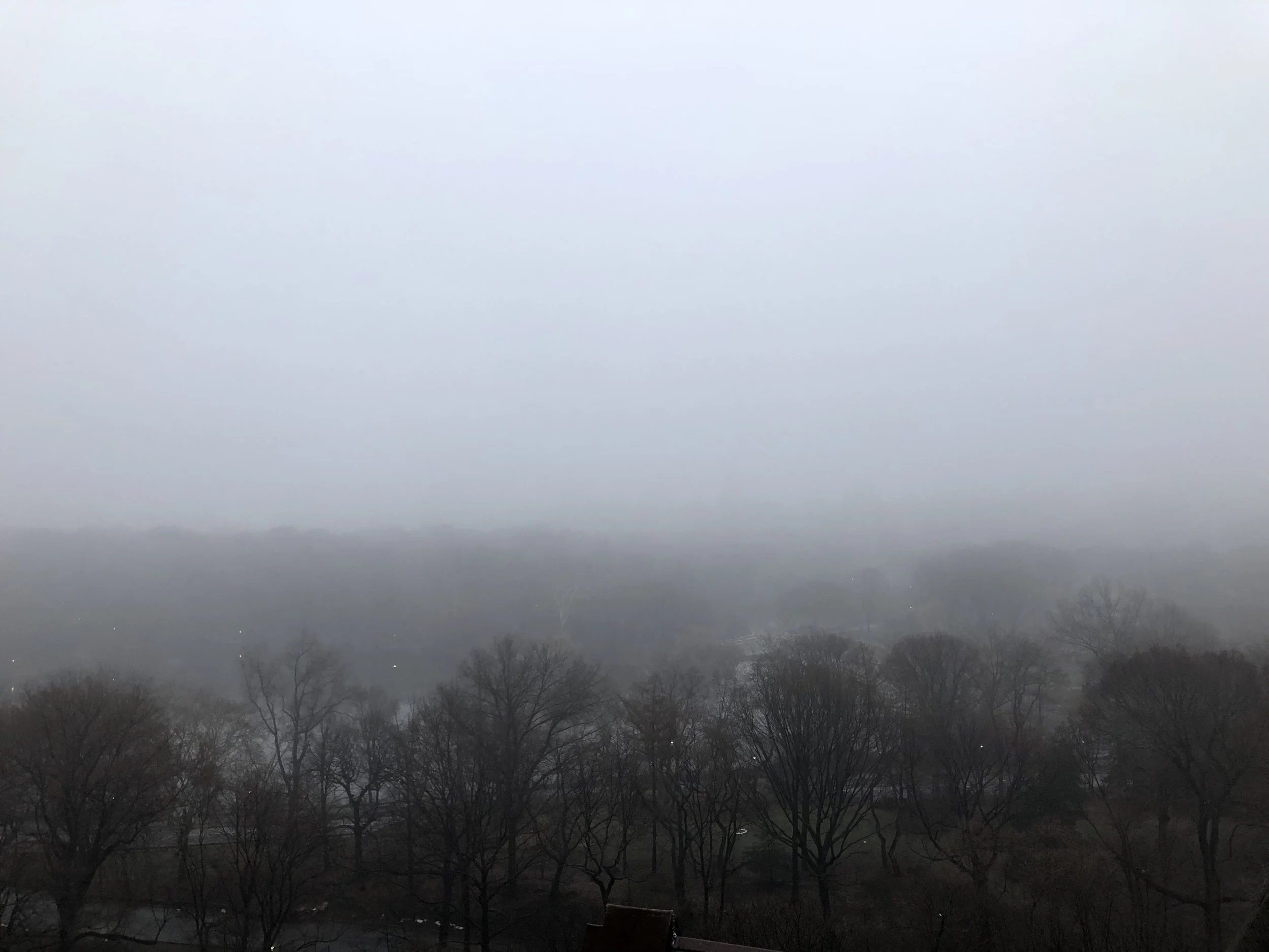 April 4, 6:56 am