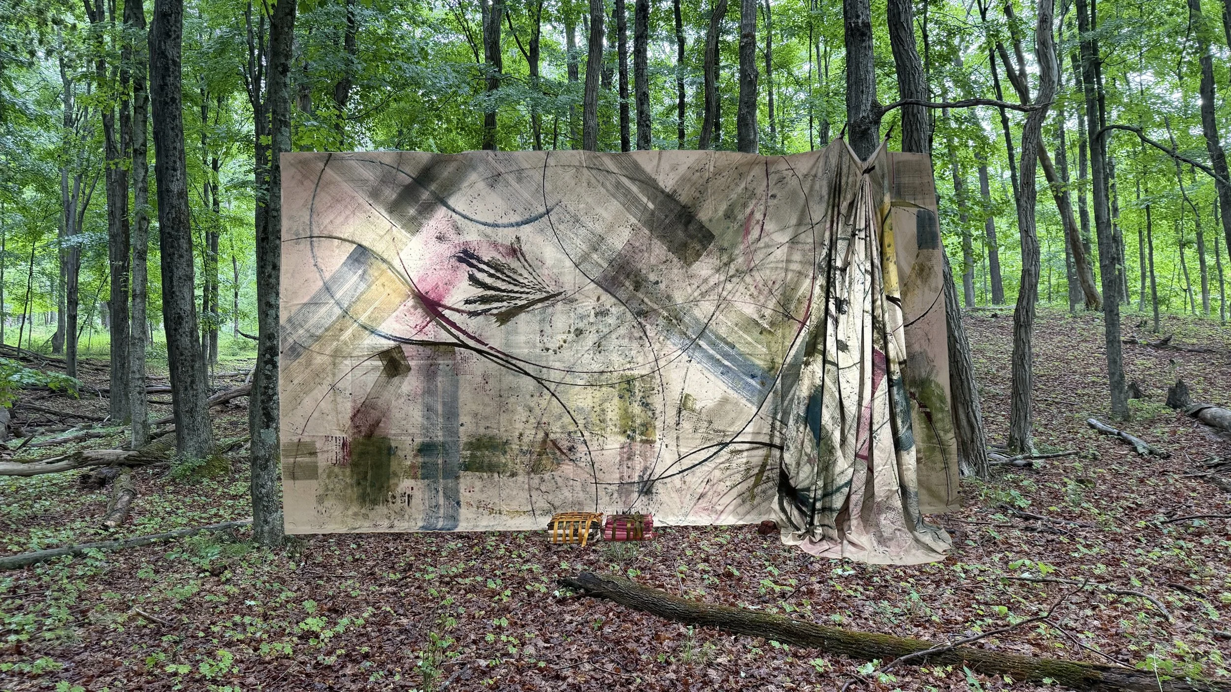 Frequently The Woods Are Pink