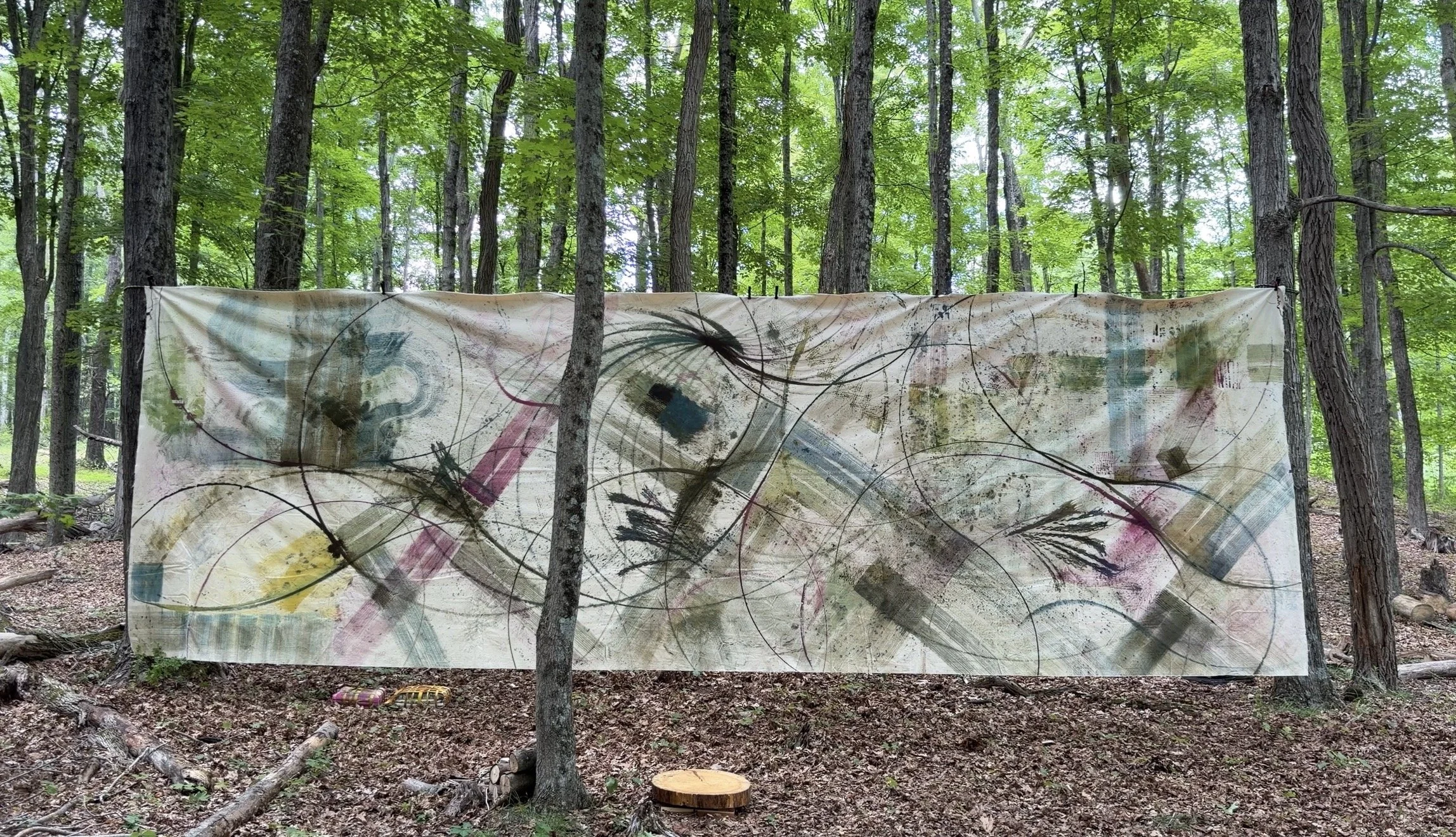 Luss_Susan_FrequentlyTheWoodsArePink_Art06870_UpstateArtWeekend_2026.jpeg