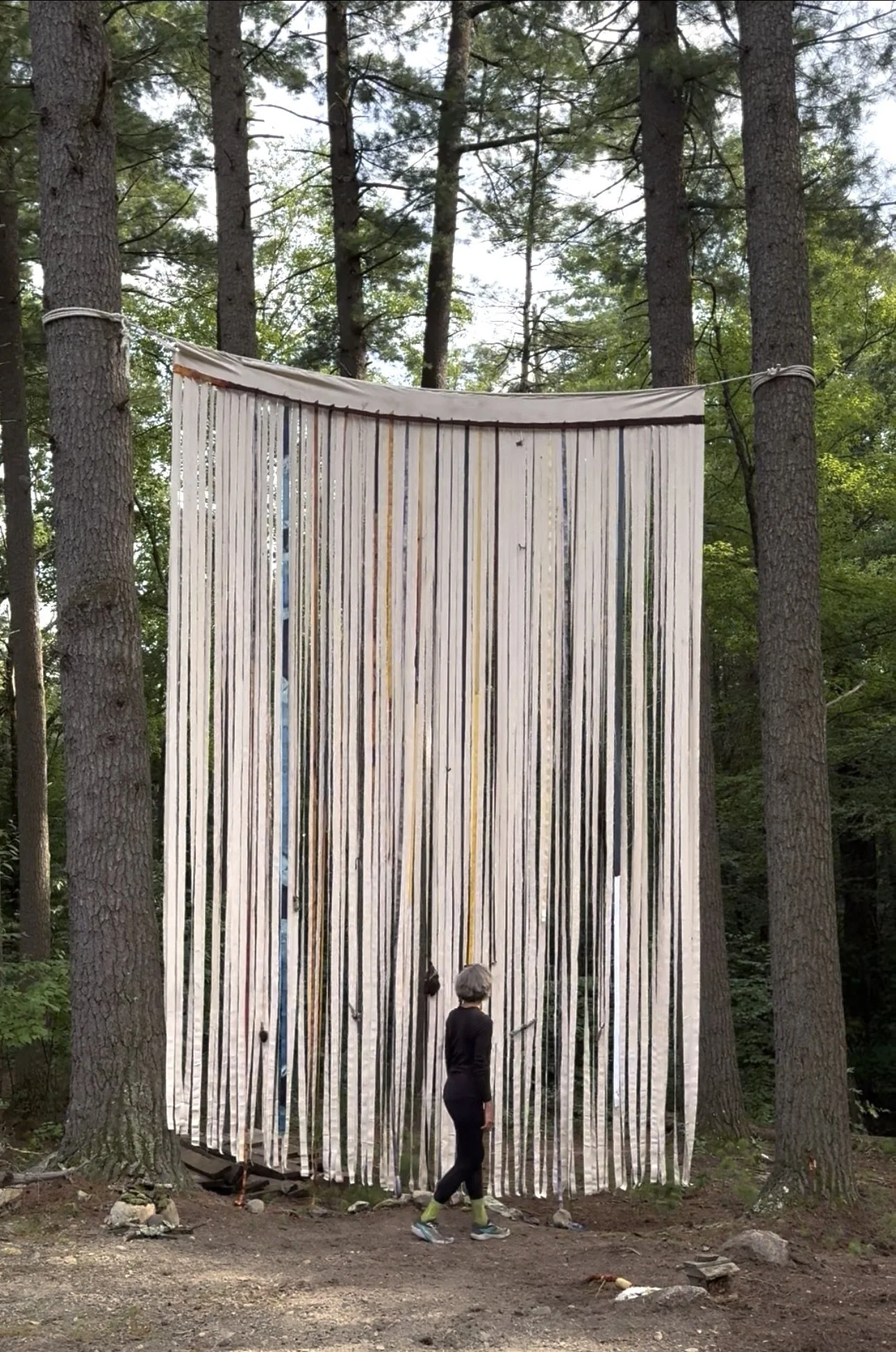 Luss_Susan_FromTheLandOfForests_ART060870_Upstate2_2025.jpeg