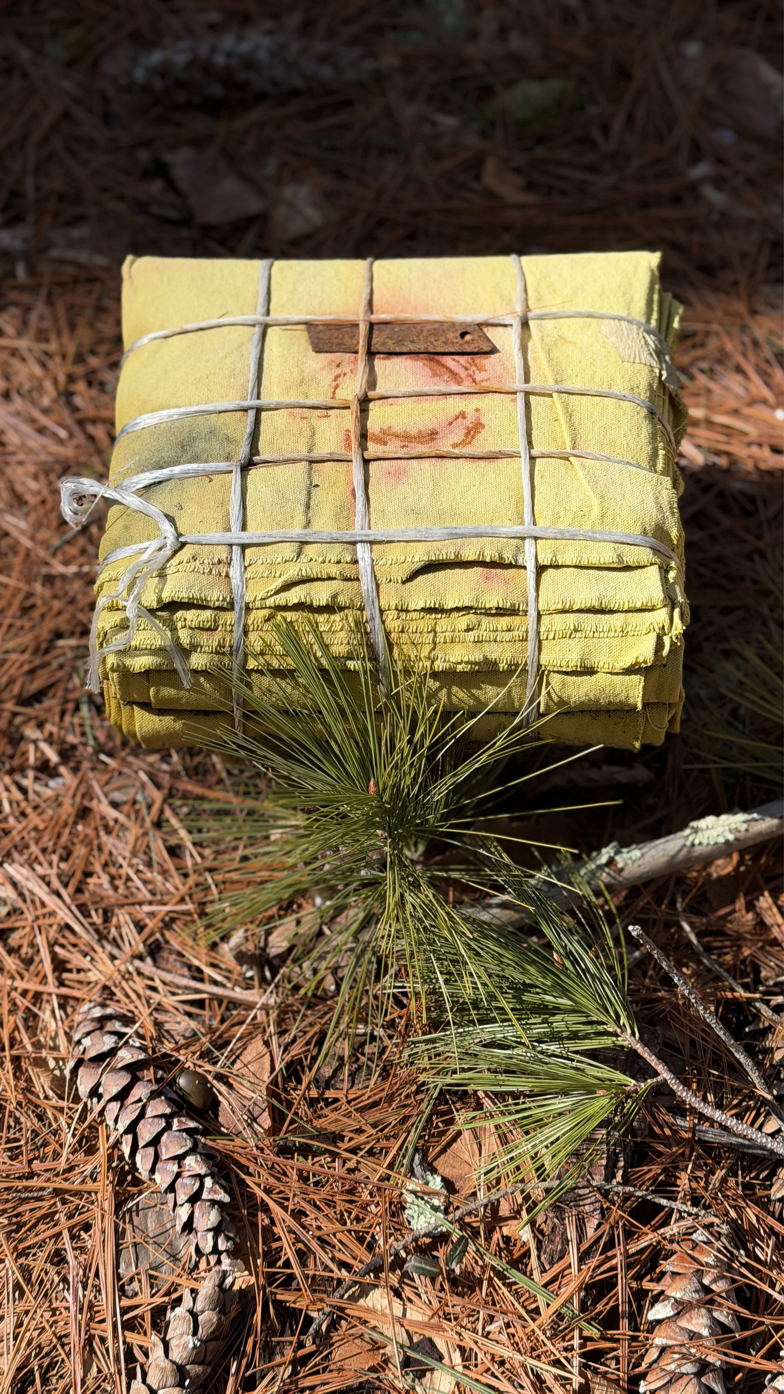Tree-Tender-detail.jpg