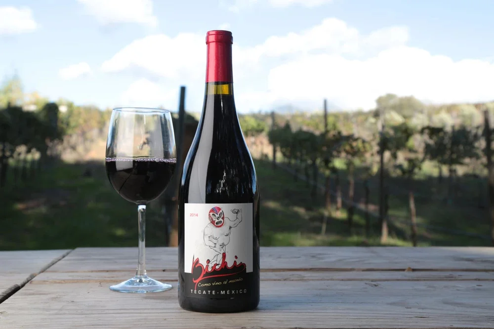 Thursday Wine Tasting with BICHI Winery