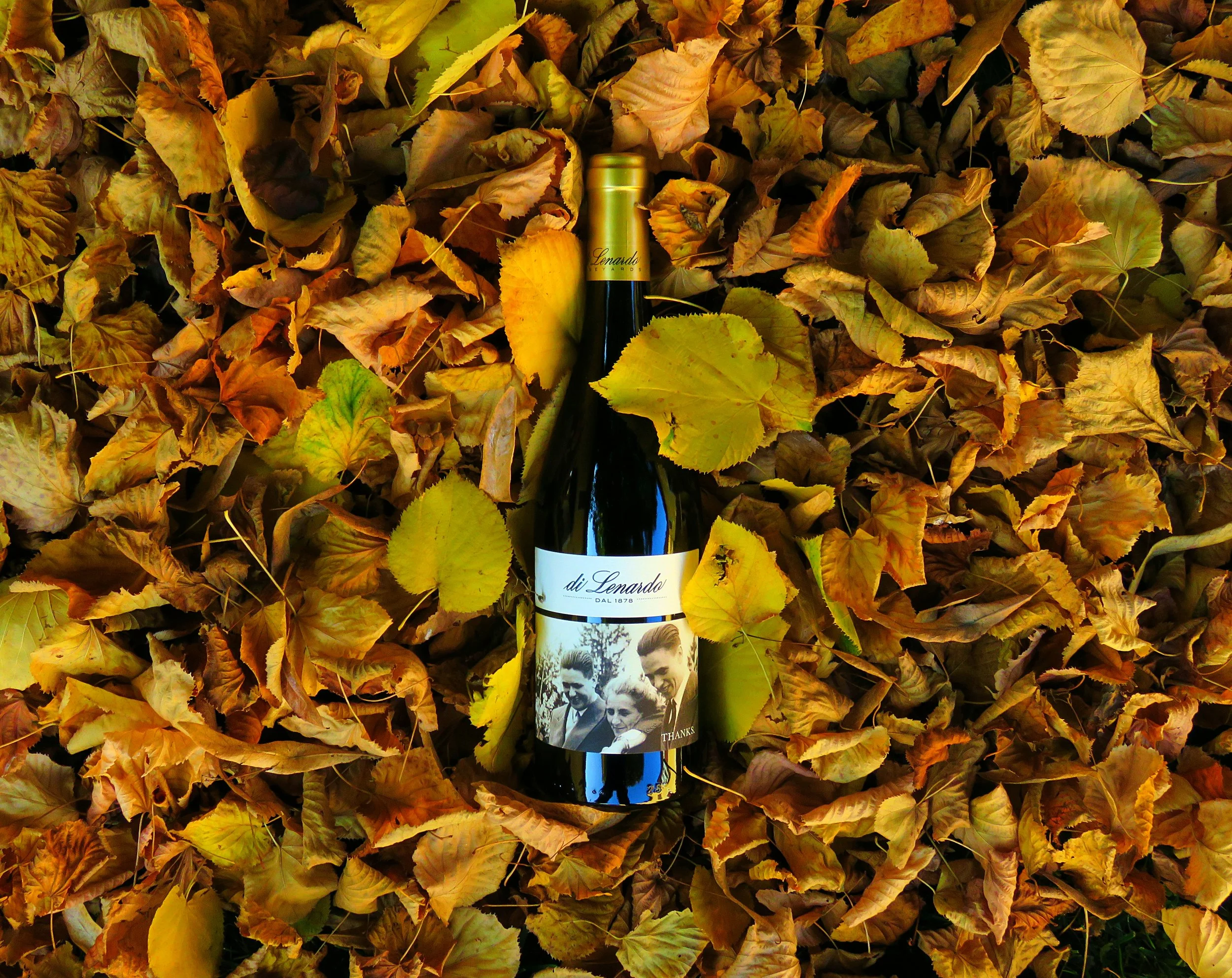 Wine Tasting with Di Lenardo Vineyards