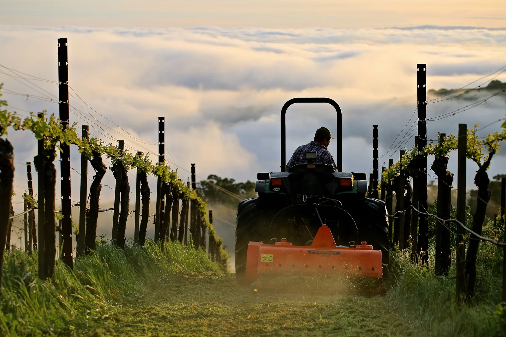 Wine Tasting with Michael Martella and Thomas Fogarty + Lexington Wine Co.