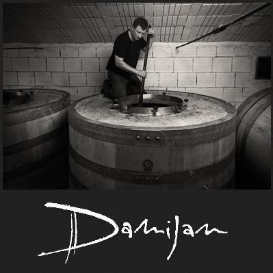 Damijan