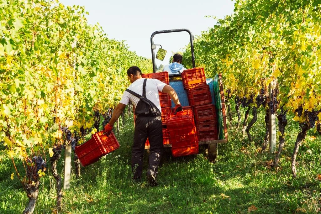 Cascina Alberta