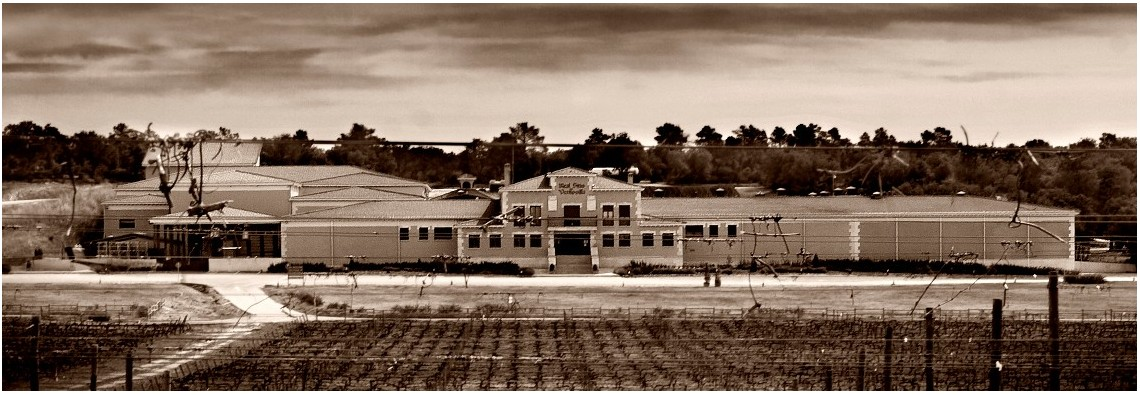 Bodegas PradoRey