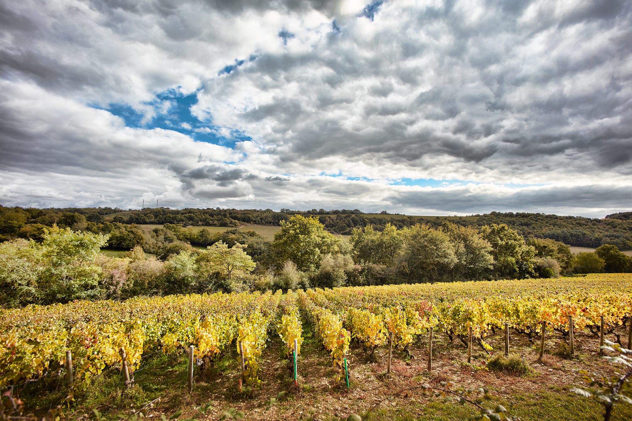 Wine Tasting Domaine Michel Briday