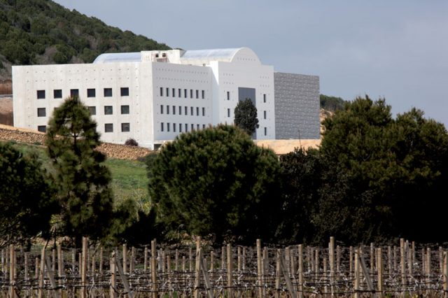 Wine Tasting with Cantina Mesa