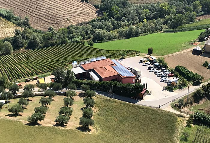 Wine Tasting with La Quercia - Abruzzo