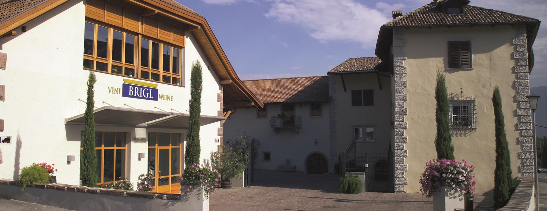 Wine Tasting with Brigl Winery