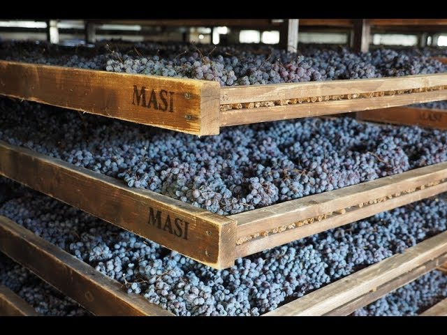 Wine Tasting with Masi Wine
