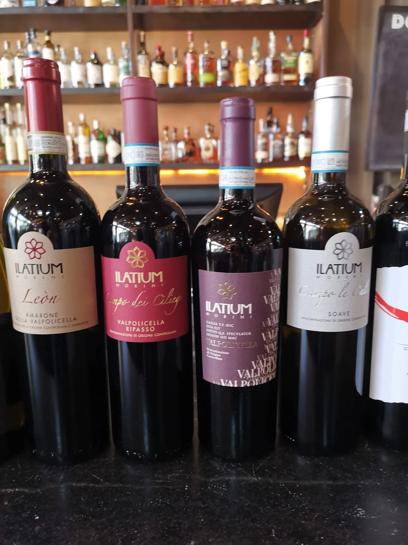 Wine Tasting with Latium di Morini Wine